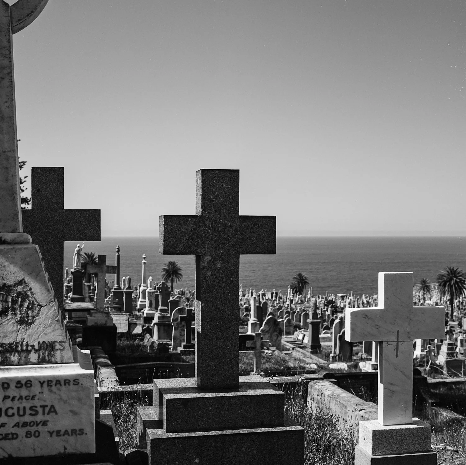 Black and white photo of a cemetery with crosses and other grave markers, overlooking the ocean with palm trees in the background.