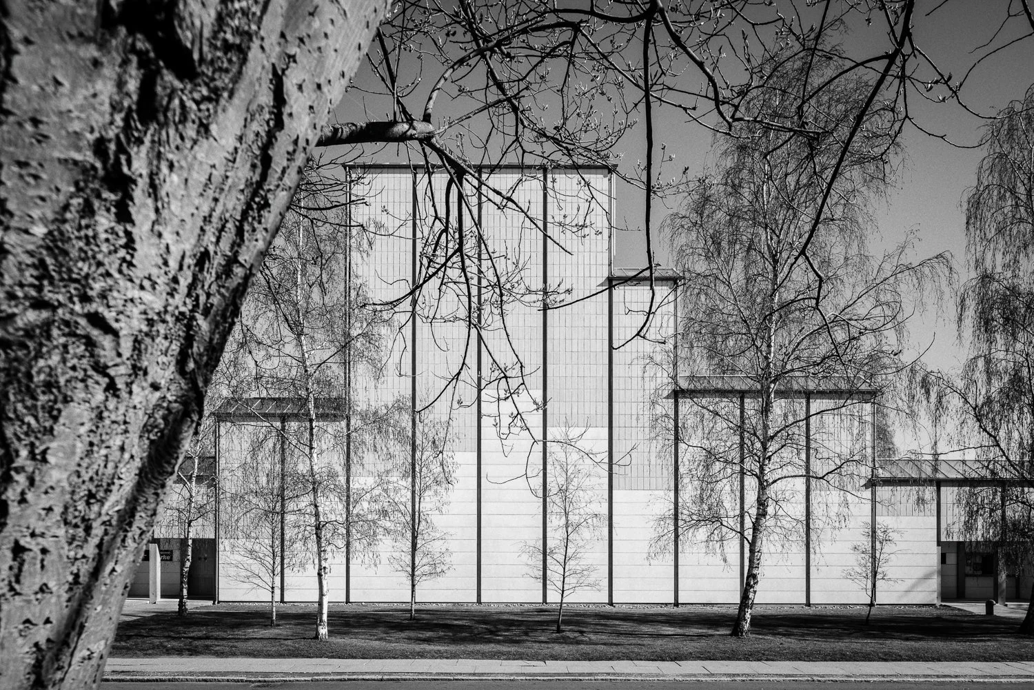 Black and white photo of a modern building with a grid-patterned facade, framed by leafless trees and a large tree in the foreground.