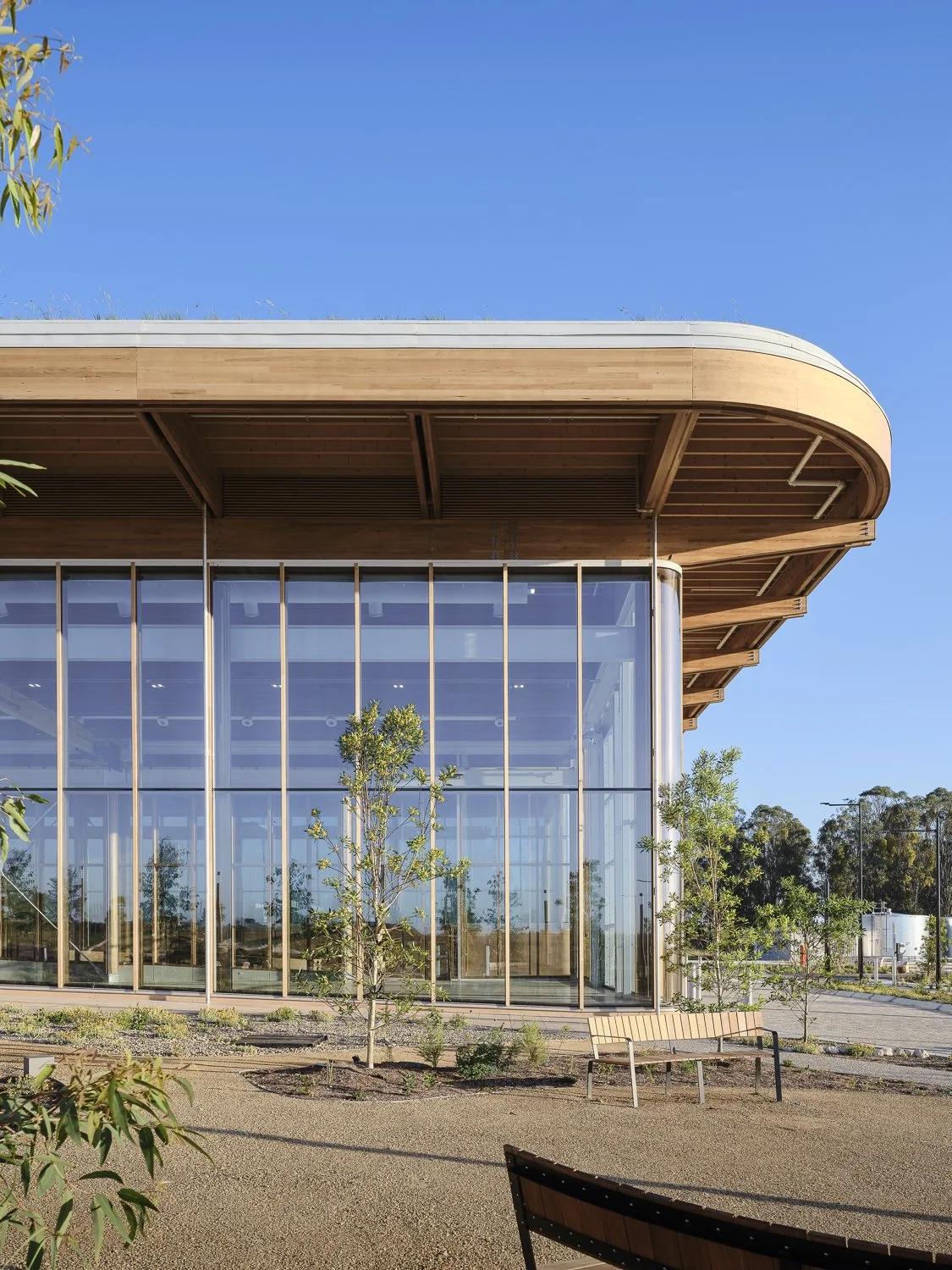 Modern building with large glass windows, wooden roof, and surrounding trees and benches, under a clear blue sky.