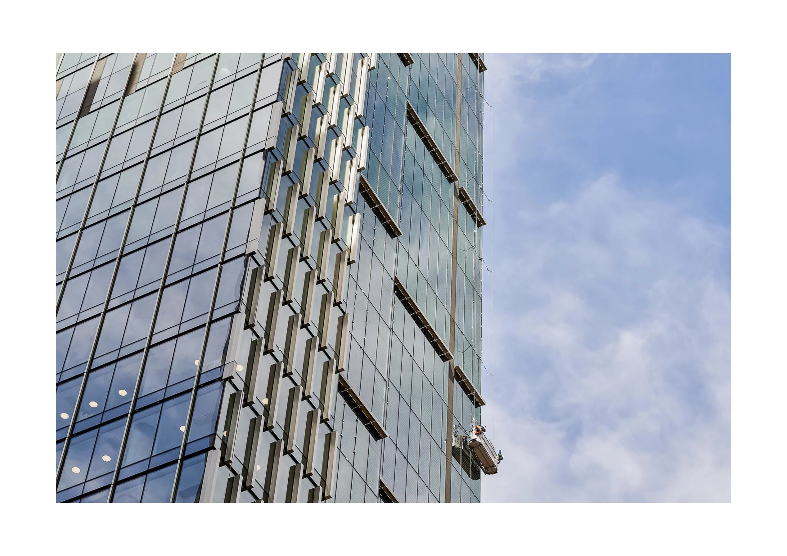 WINDOW CLEANER