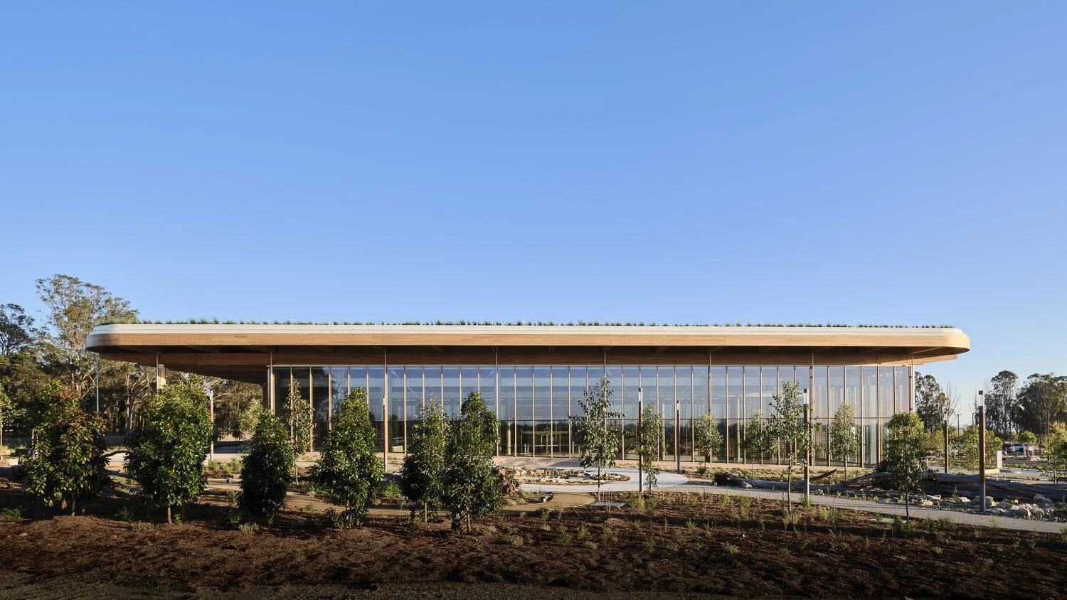 Modern glass building with a curved roof, surrounded by landscaped greenery and small trees under a clear blue sky.