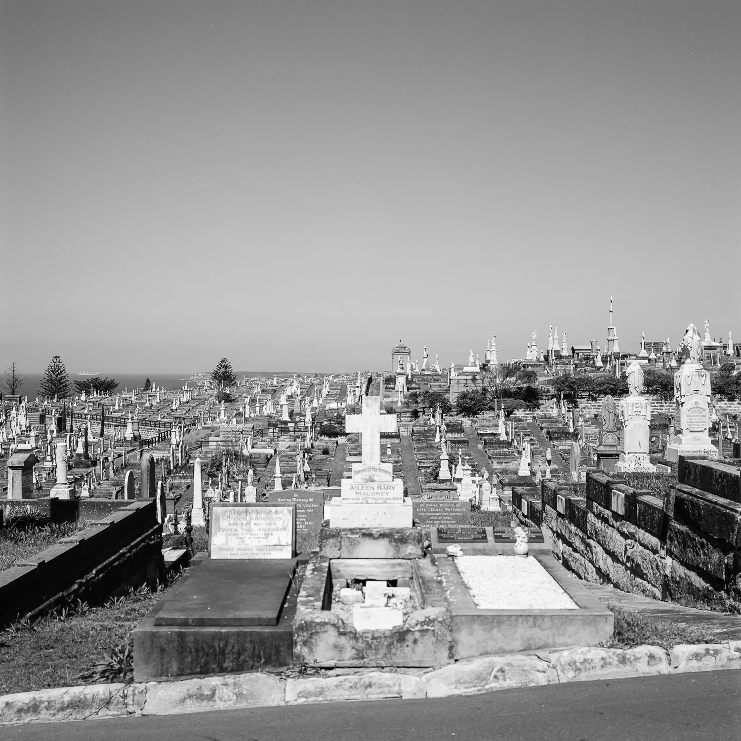Black and white photo of a cemetery with numerous gravestones and crosses, and a clear sky in the background.