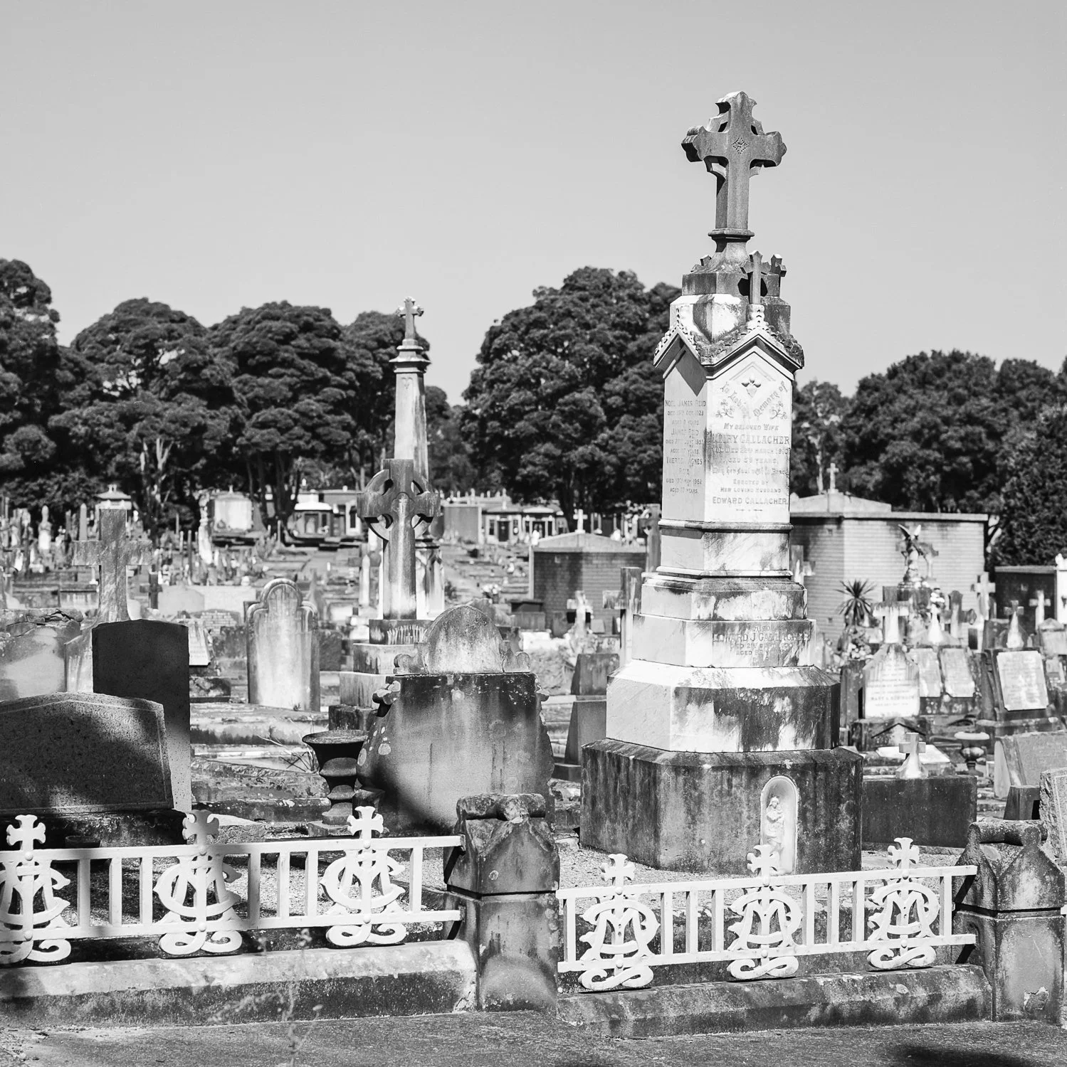 Black and white photo of a cemetery with multiple tombstones and crosses, some of which are ornate and tall, surrounded by trees.