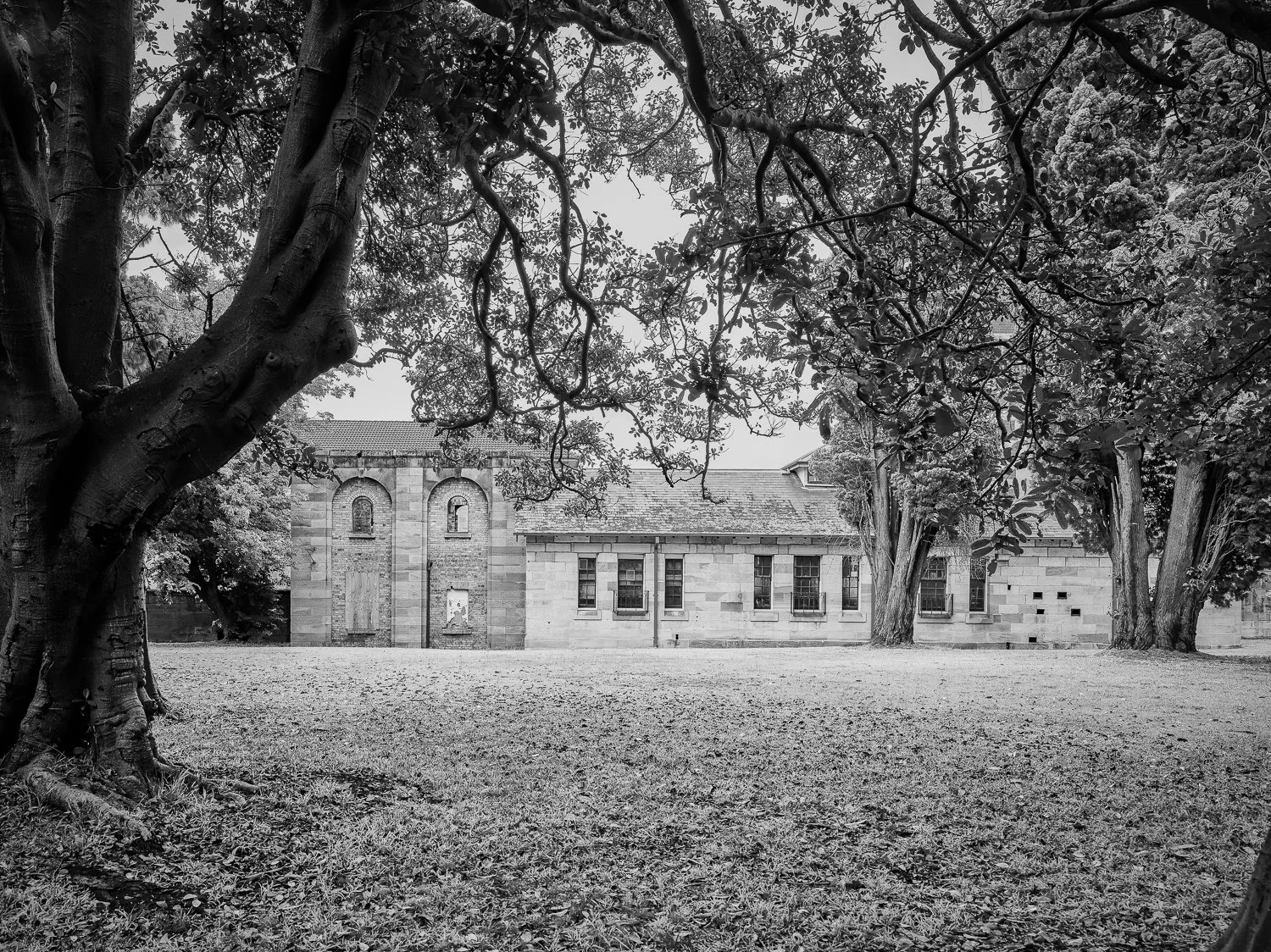 Black and white photo of a grassy yard with fallen leaves, large trees, and a stone building with multiple windows in the background.