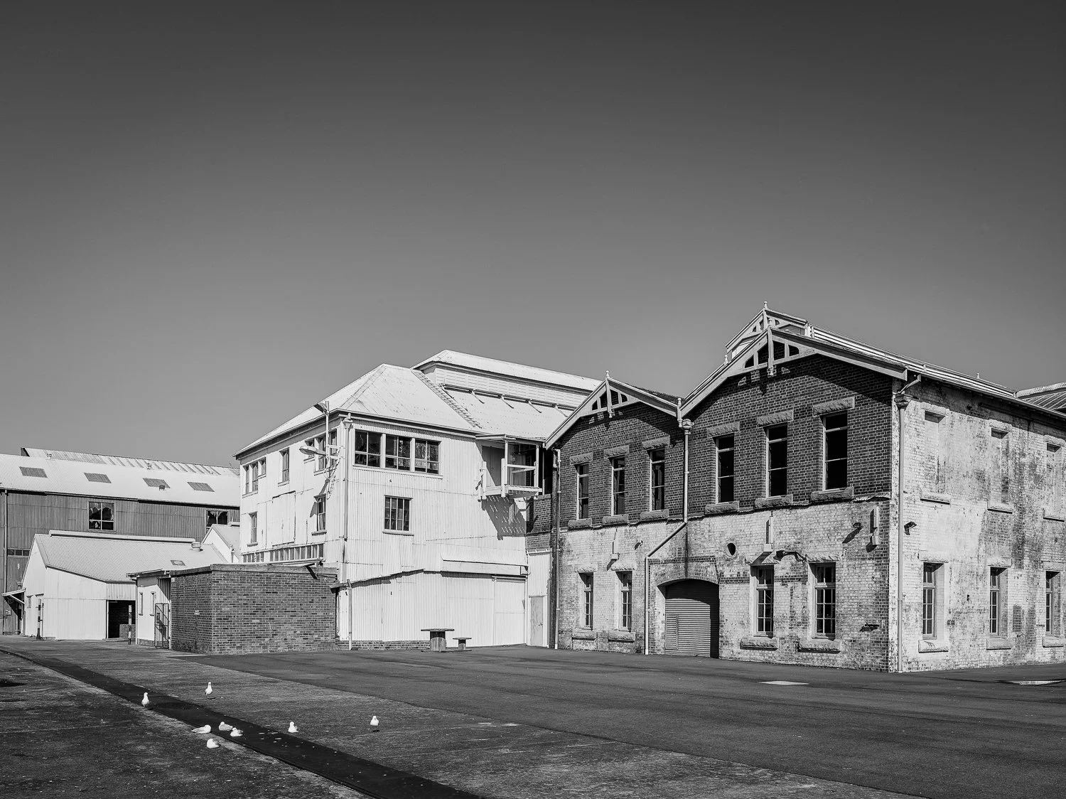Black and white photo of old industrial buildings with brick and metal facades and a paved open area with seagulls.