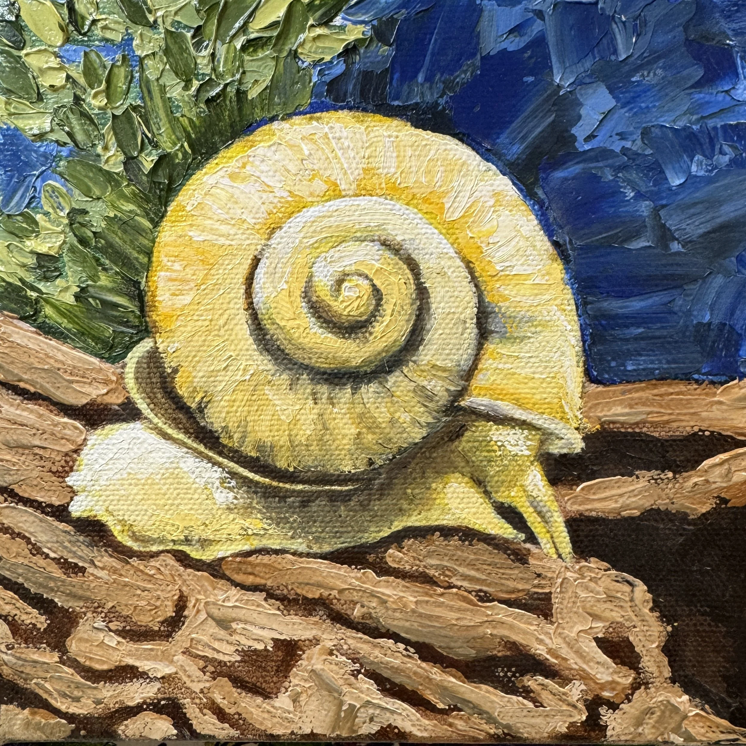 Snail's Pace