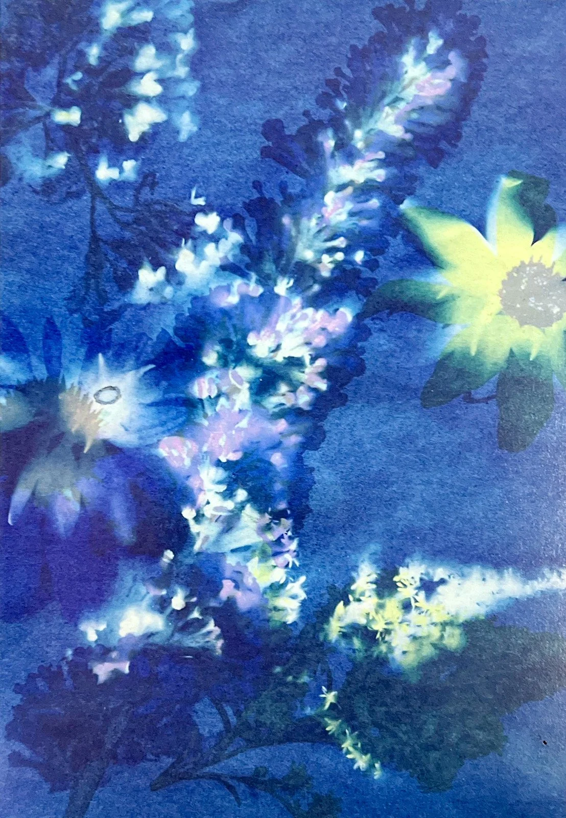 CyanotypeMontage 2.jpg