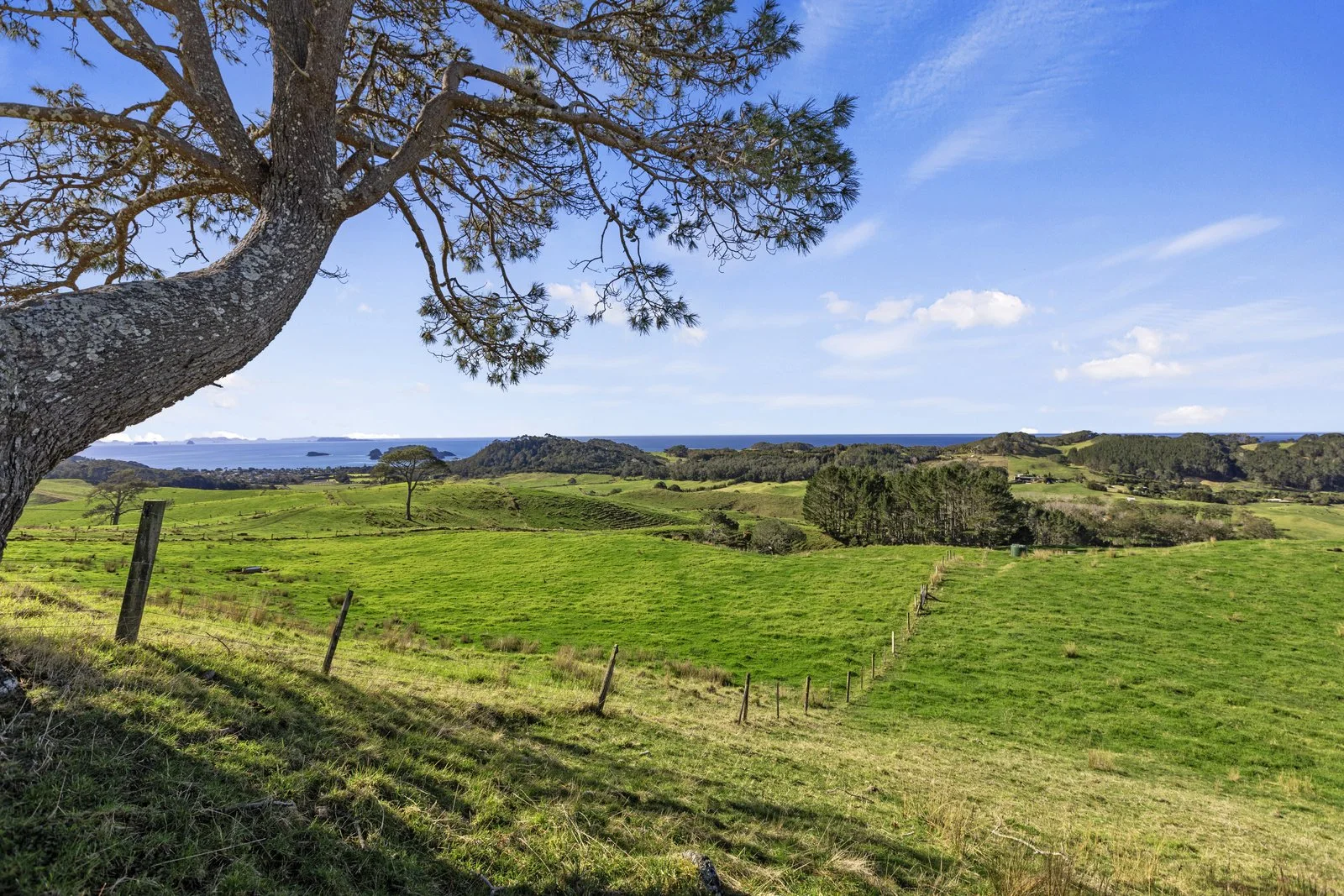 7 - Lot 3 177 Link Road.jpg