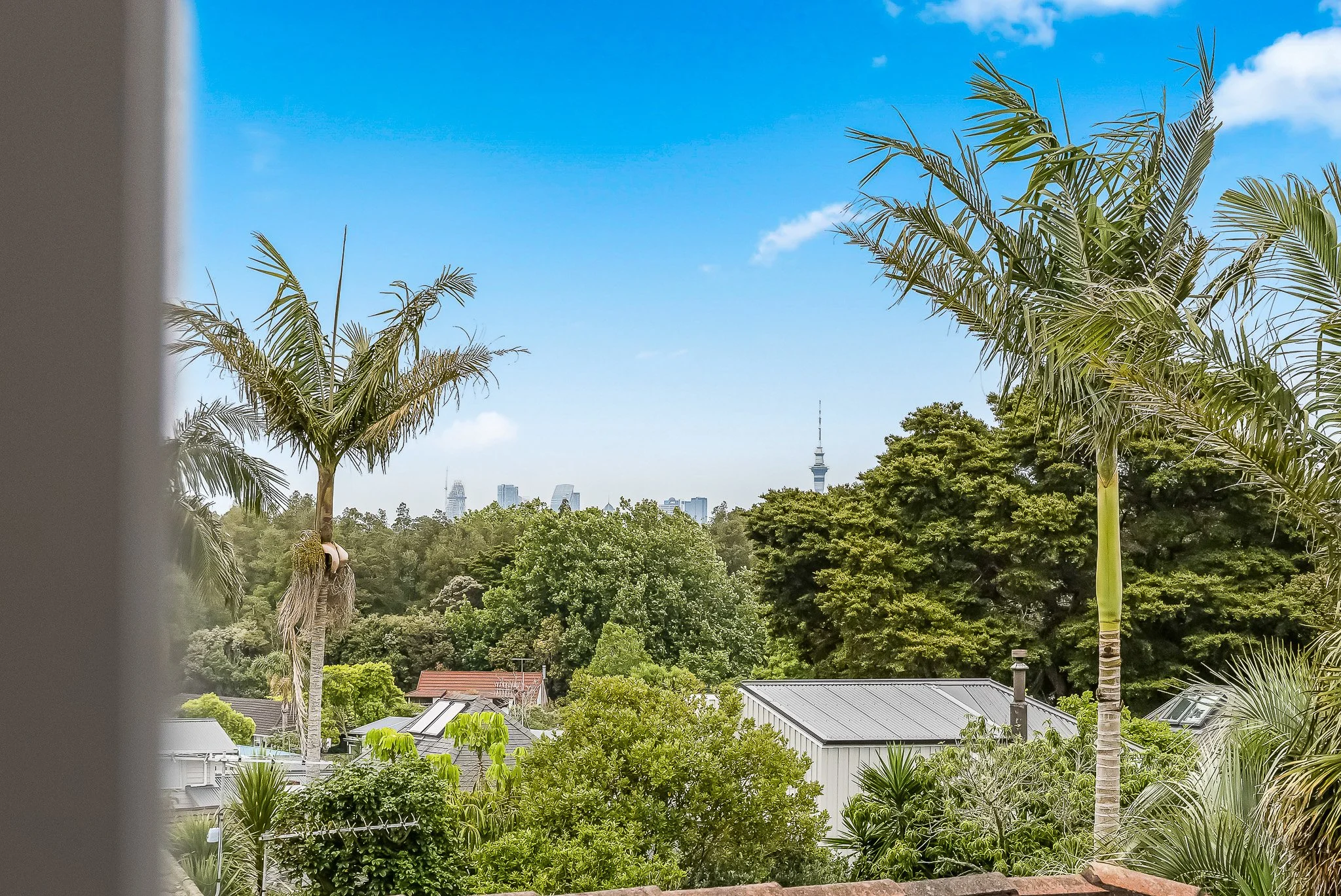 15 - 2.58 Hillcrest 283A7391.jpg