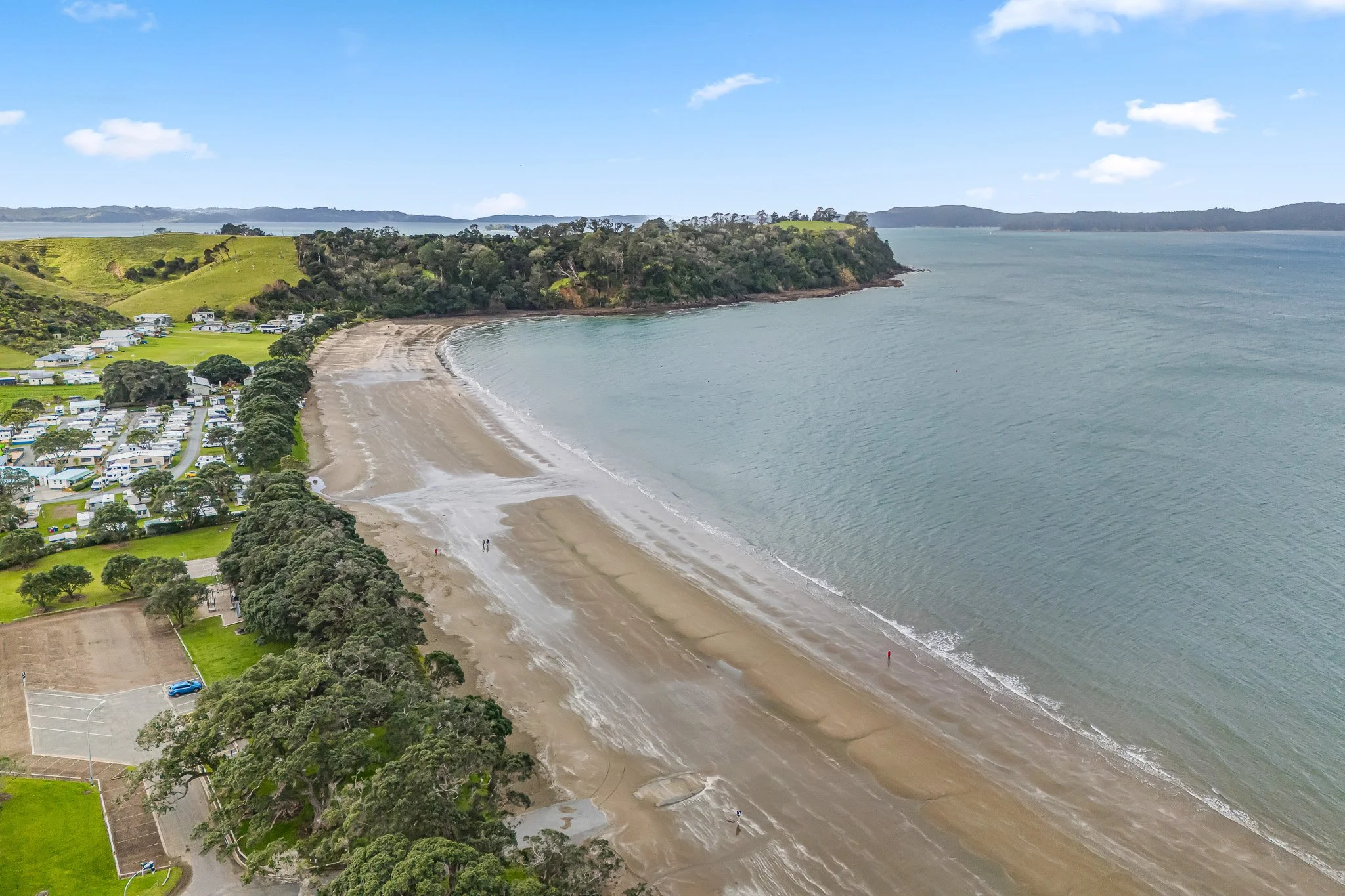 31_11AJacksonCres - DJI_20250912153703_0066_D.jpg