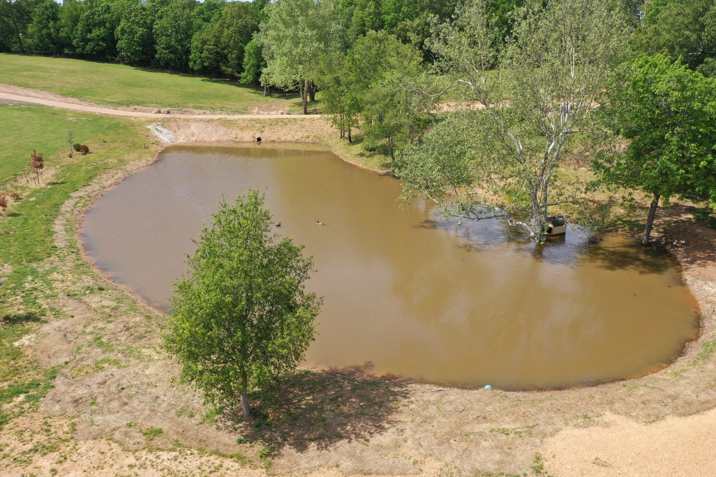 Front Yard Pond