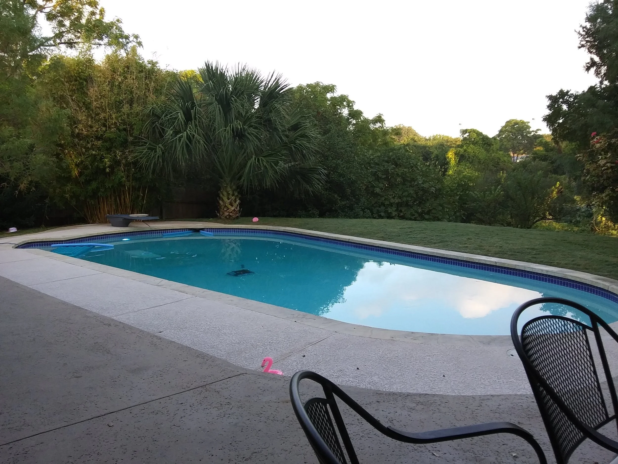 20191003_075116.jpg