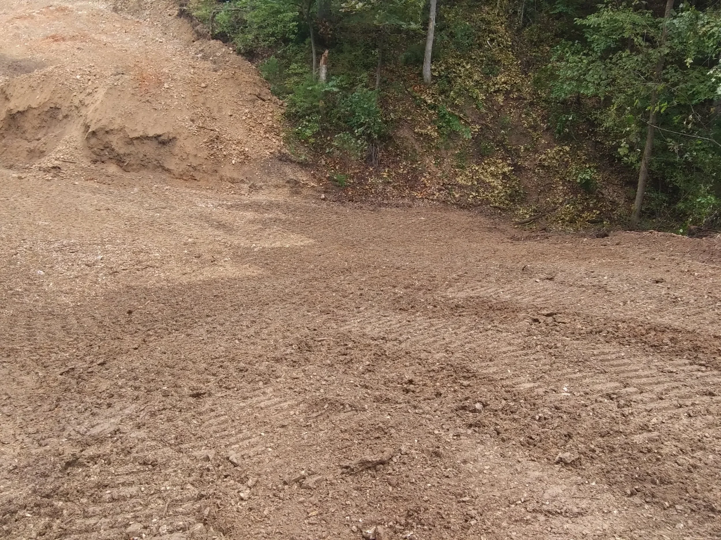 20190816_170315.jpg
