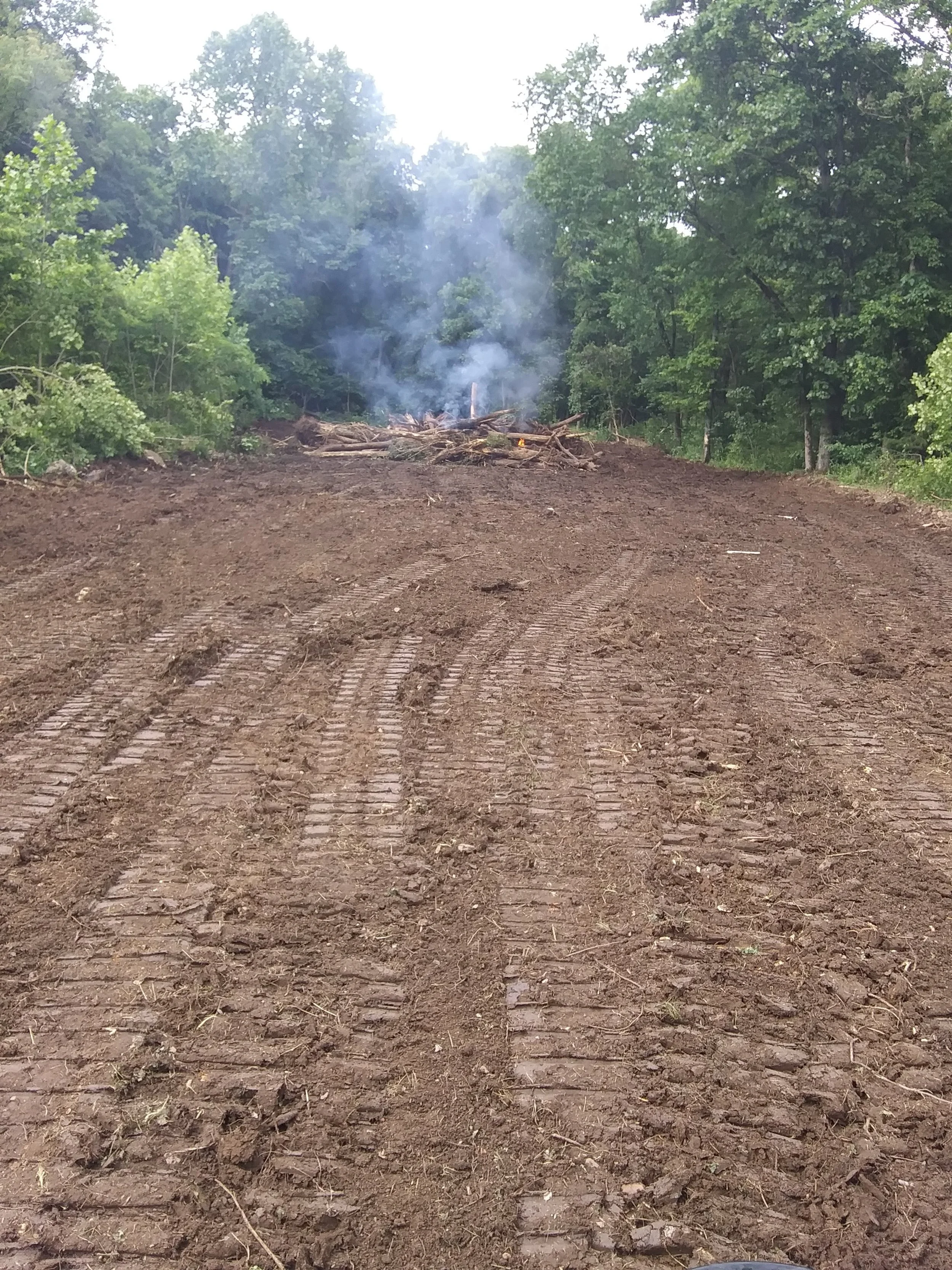 20190614_102615.jpg