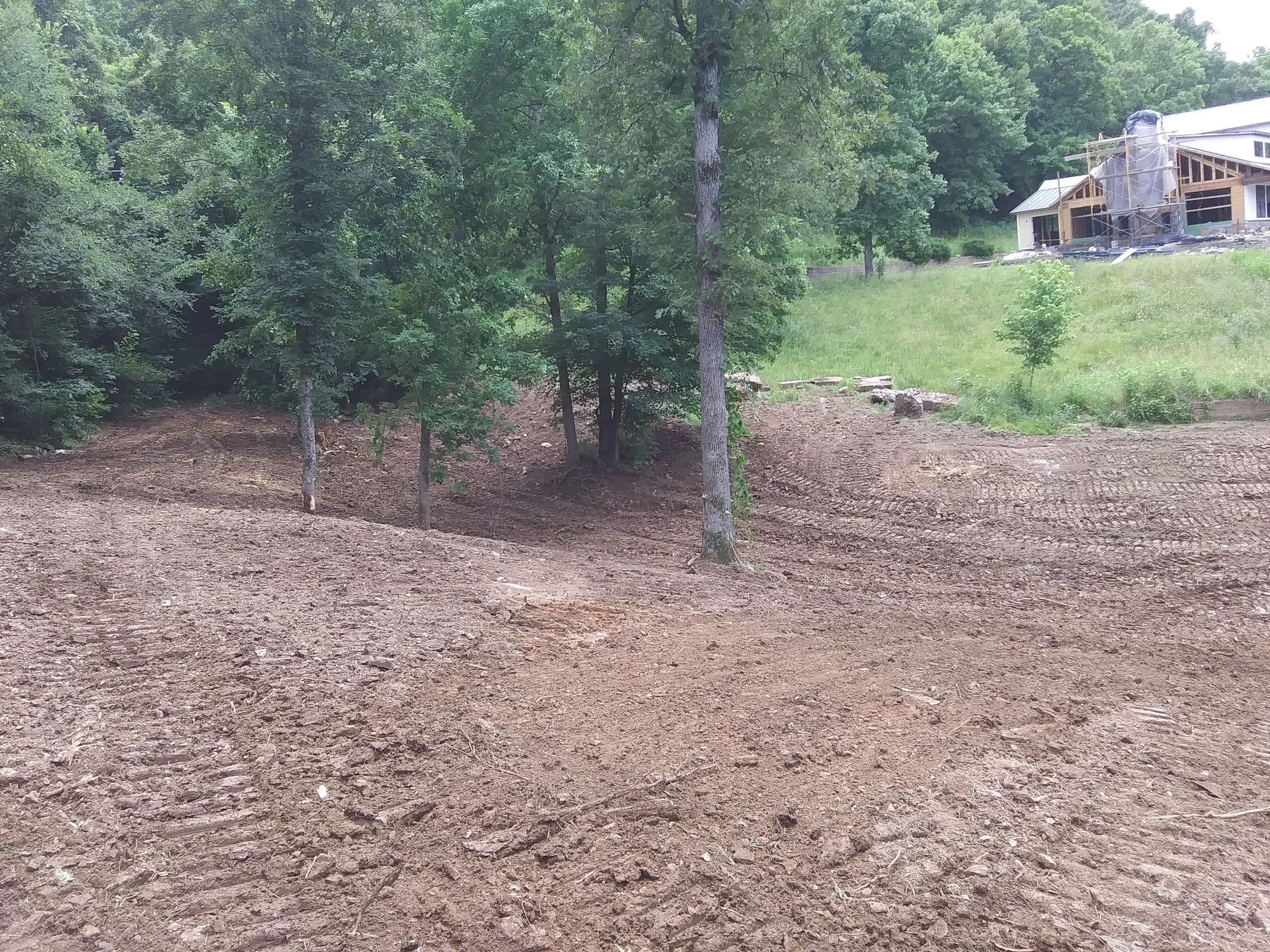 20190611_143857.jpg