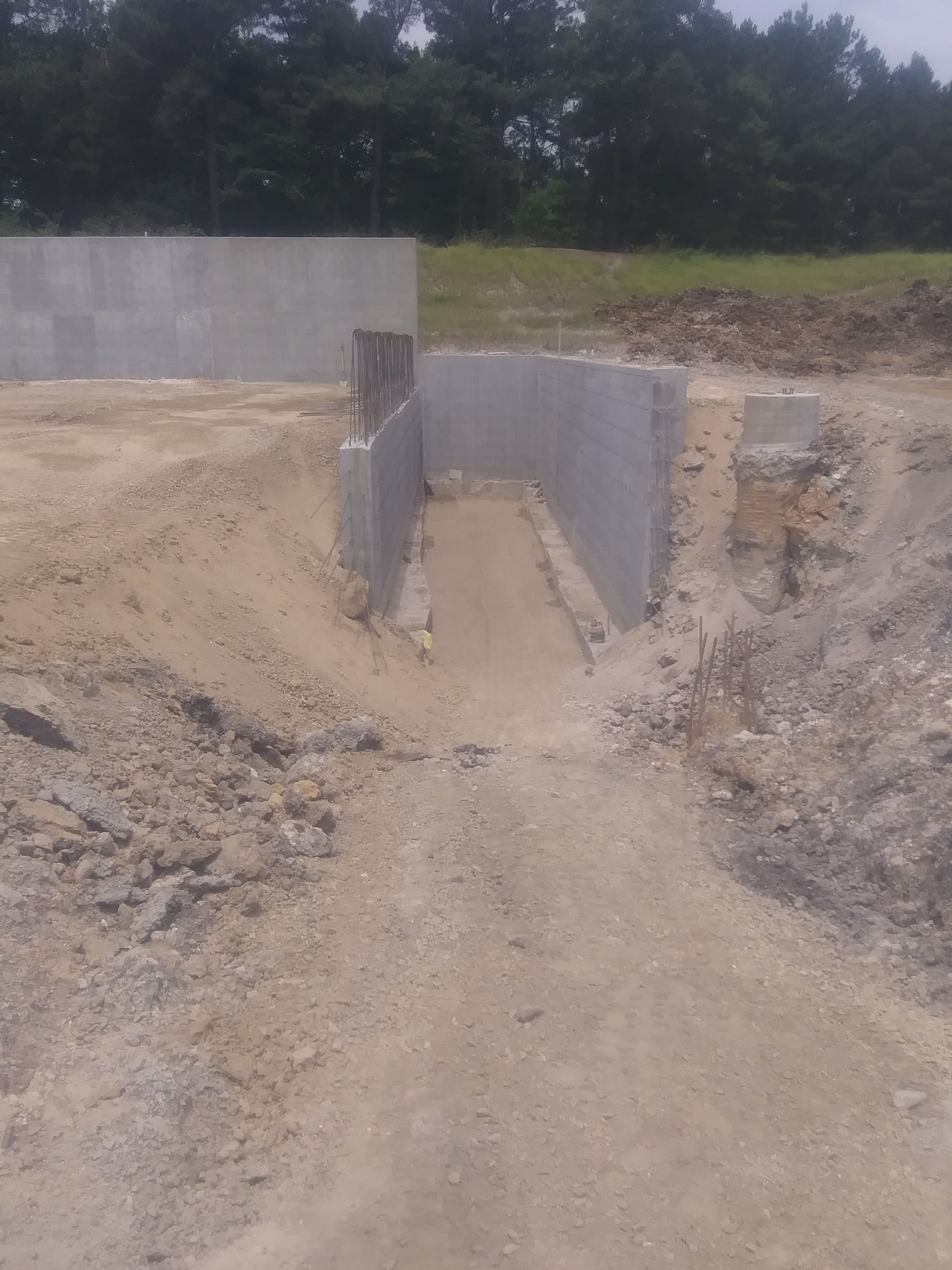 20210618_114739.jpg
