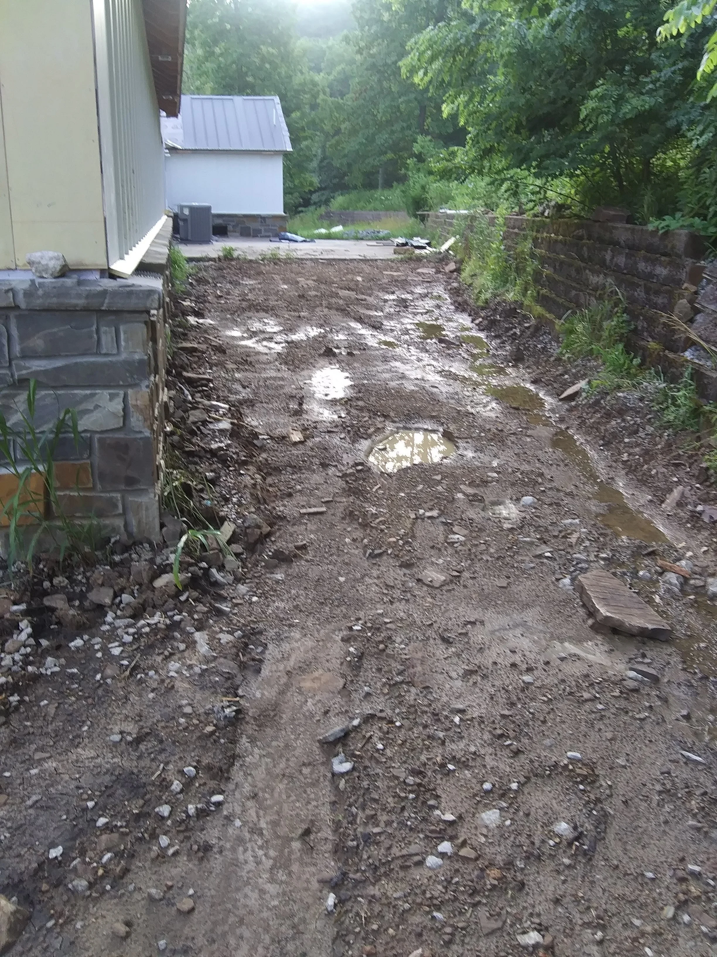 20190625_065916.jpg