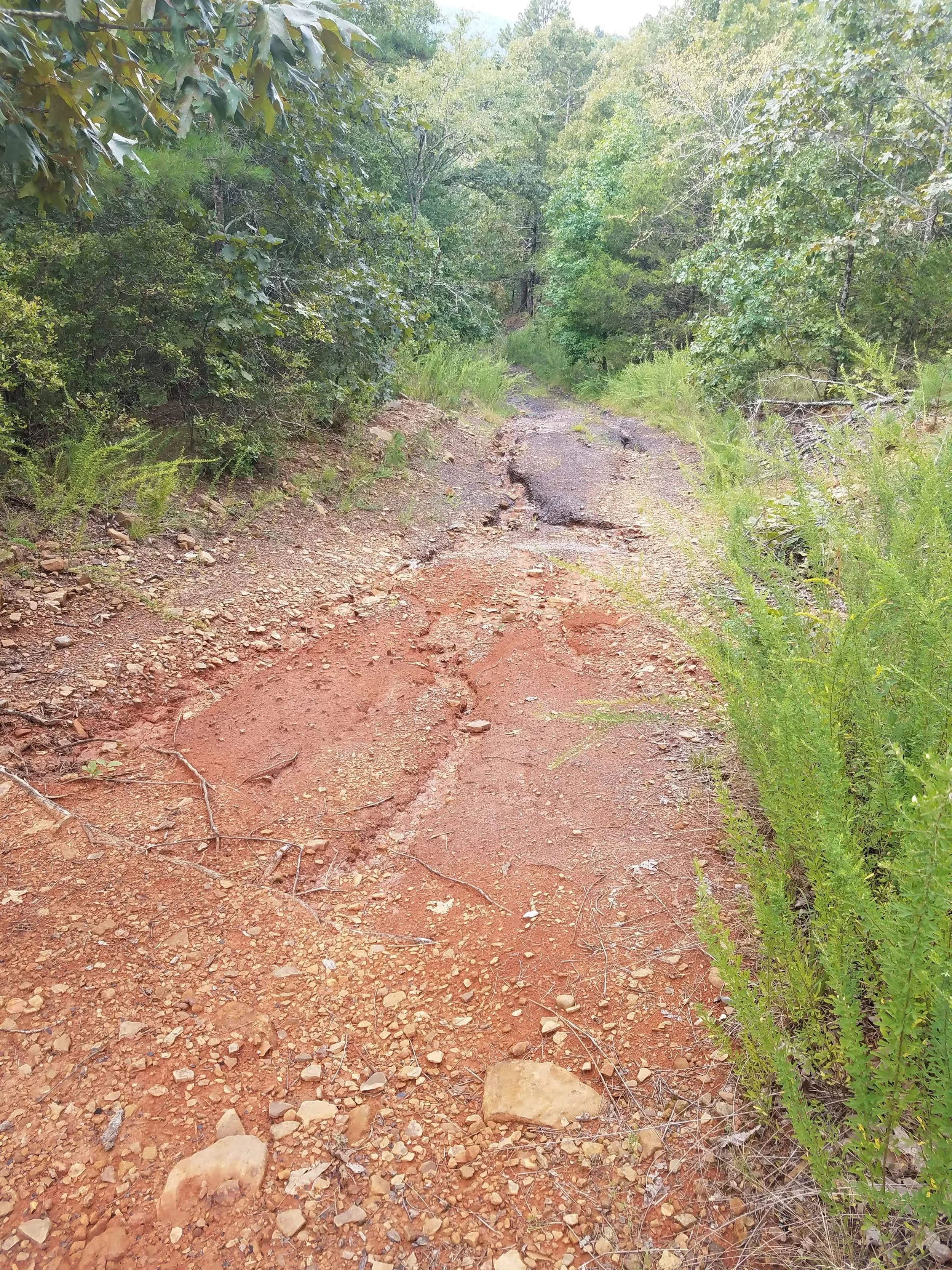 Old Mountain Driveway