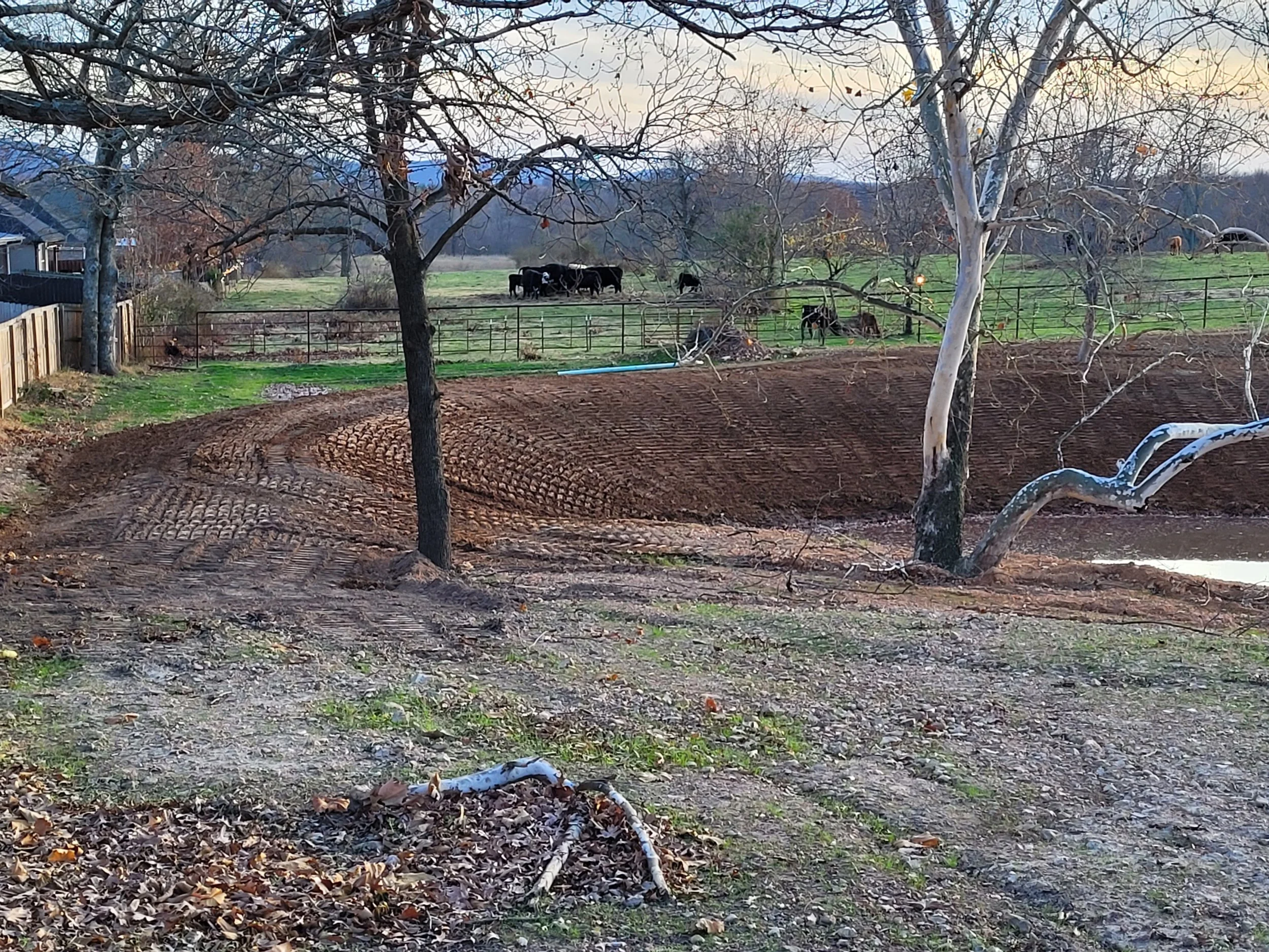 20211216_164715.jpg