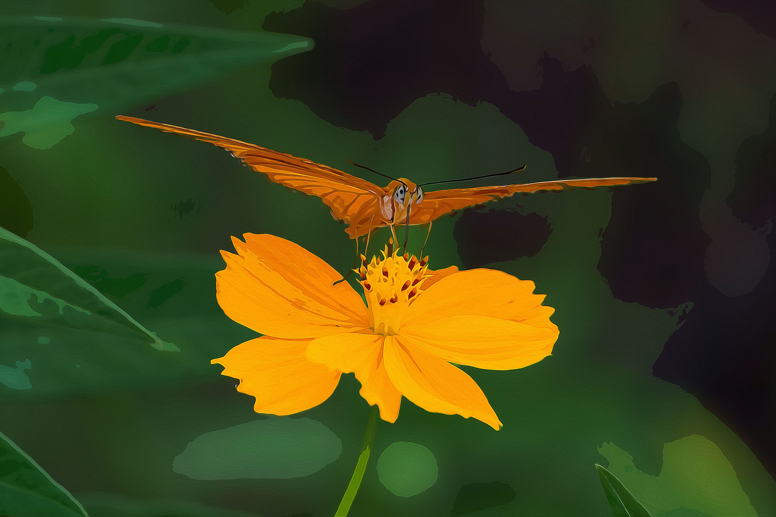 Hiding in Plain Sight.jpg