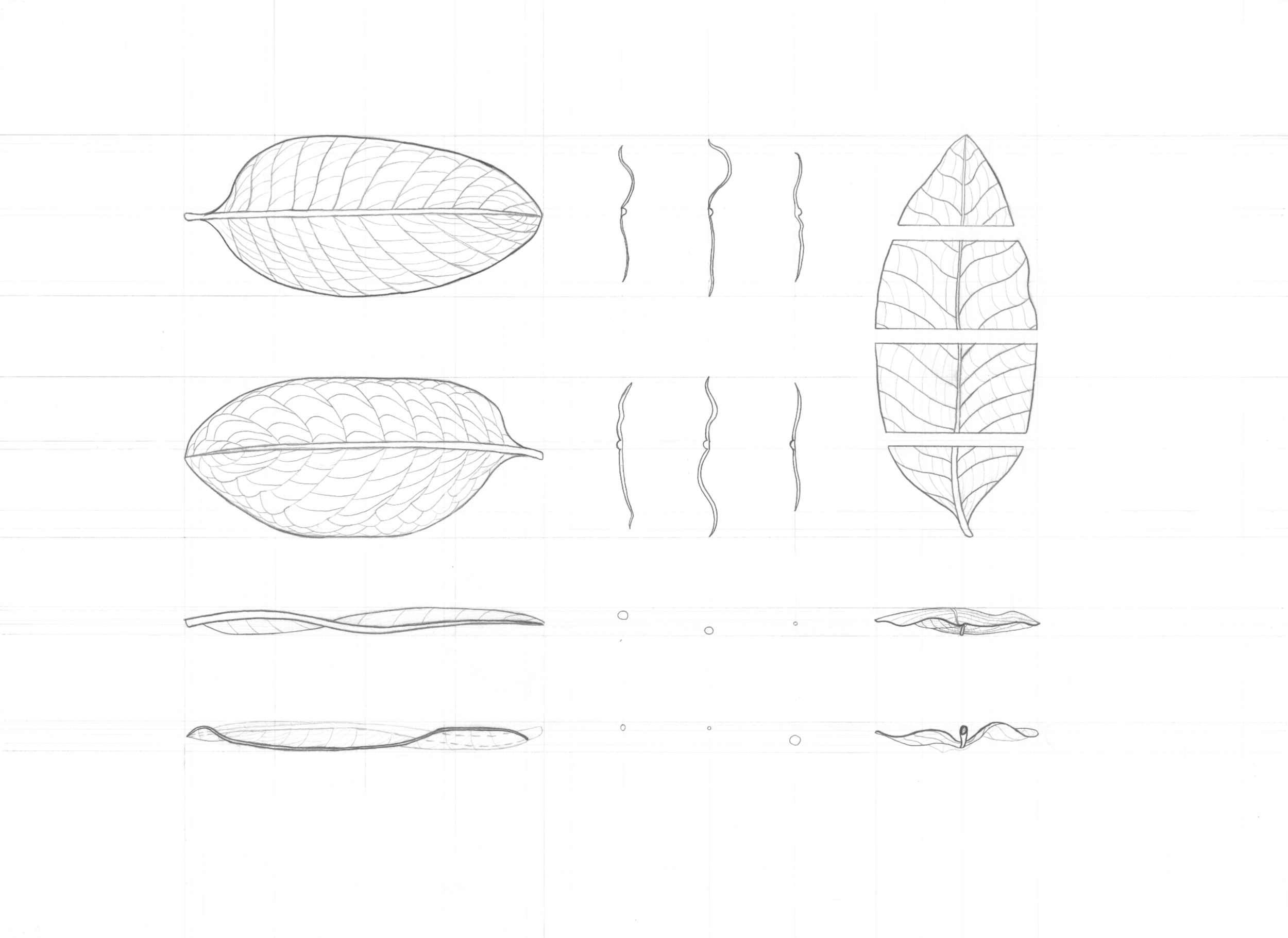 Screen Shot 2022-05-24 at 3.25.12 PM.png