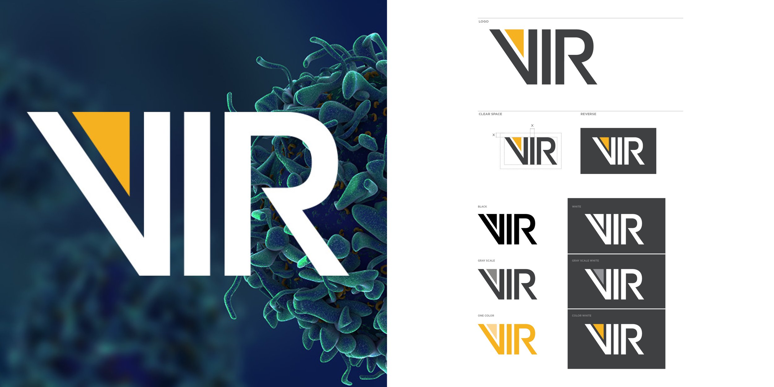 VIR BIOTECHNOLOGY — Whitford Creations