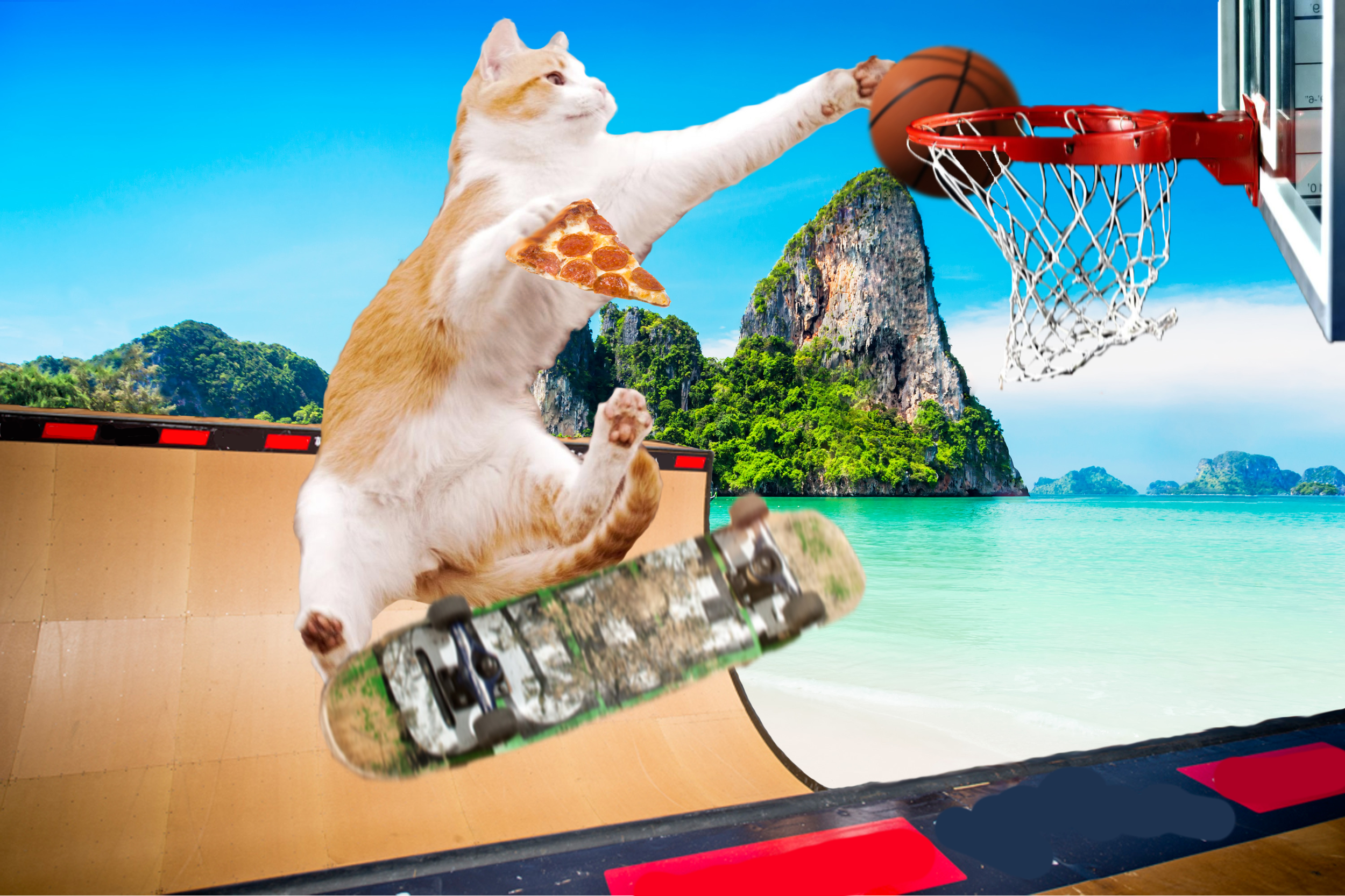 Pizza cat Isle Web.png