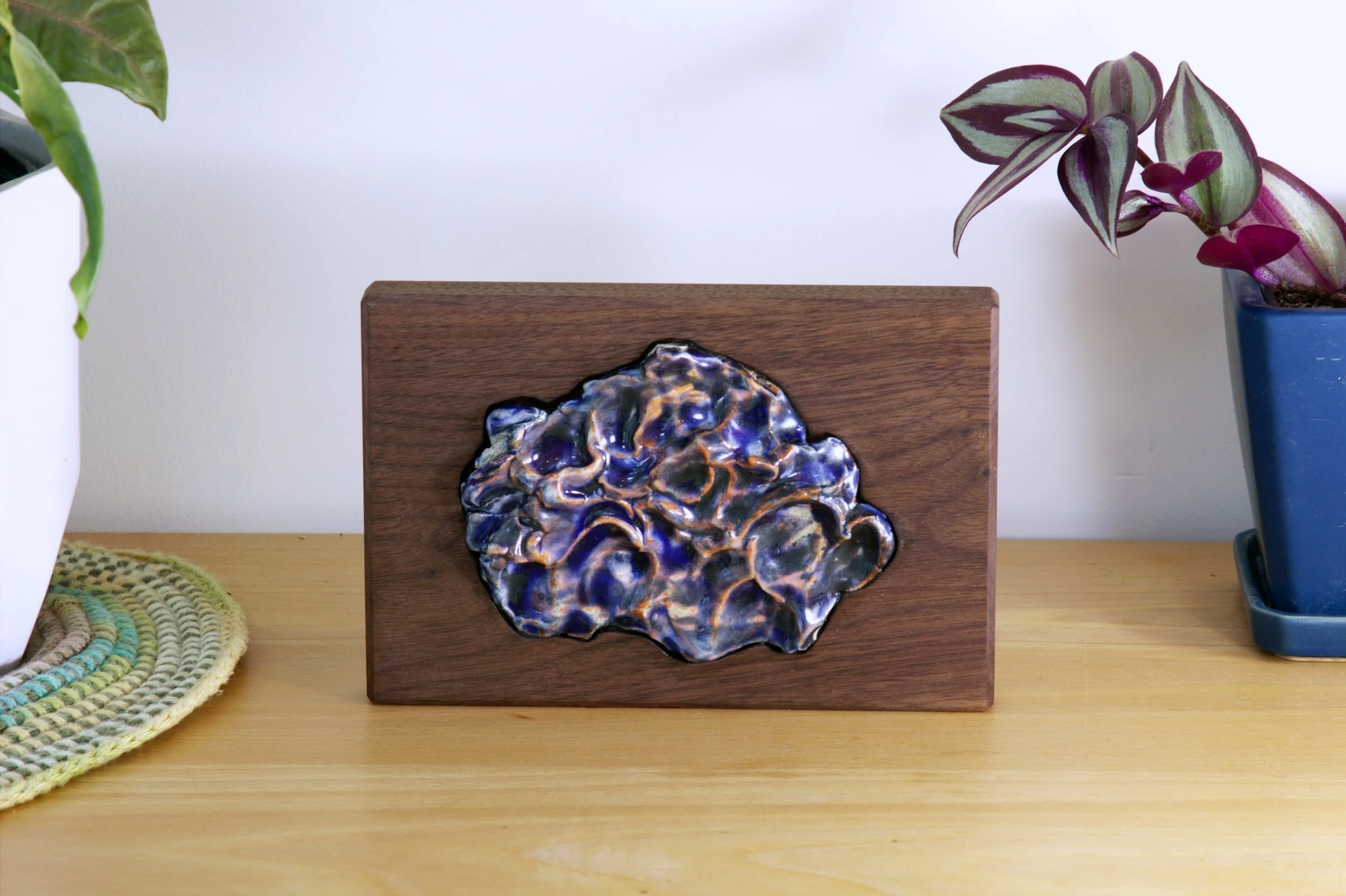 exp_walnut cloud ceramic 2_1.jpg