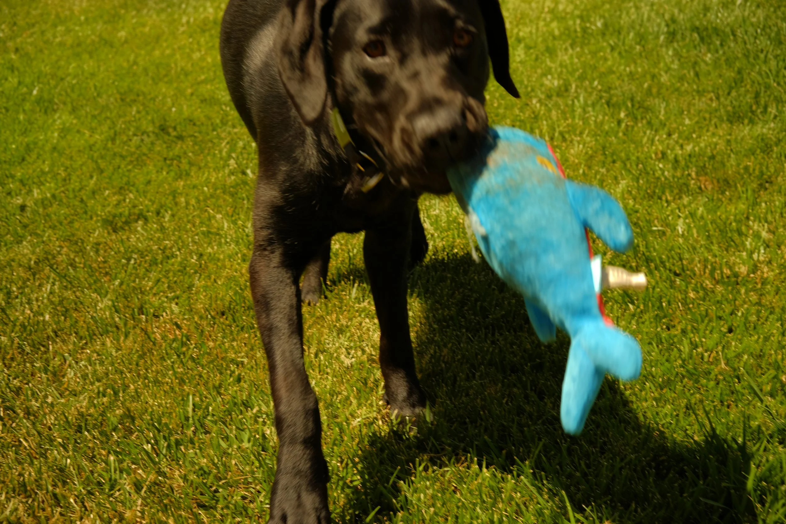 DSCF1720.JPG