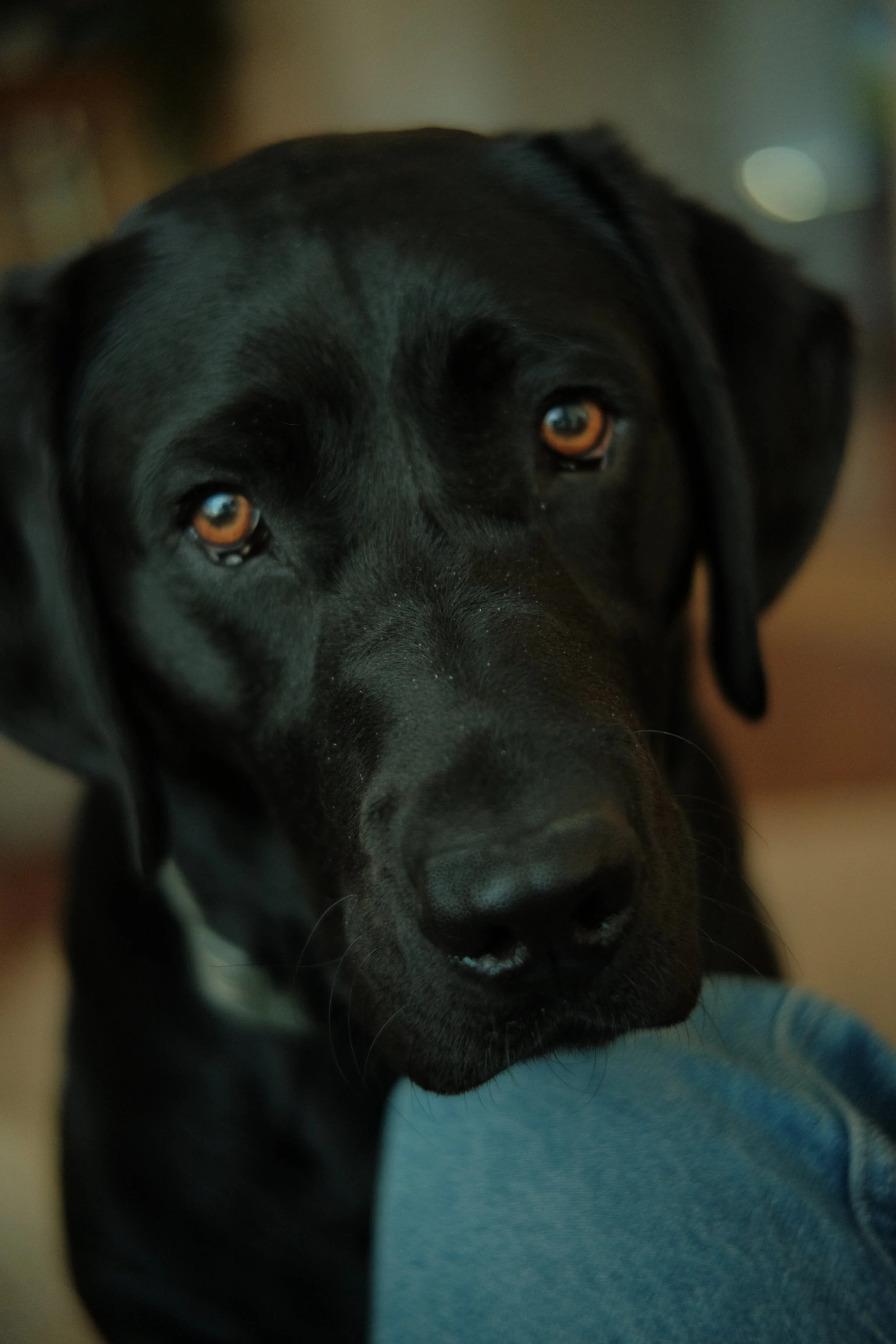 DSCF2402.JPG