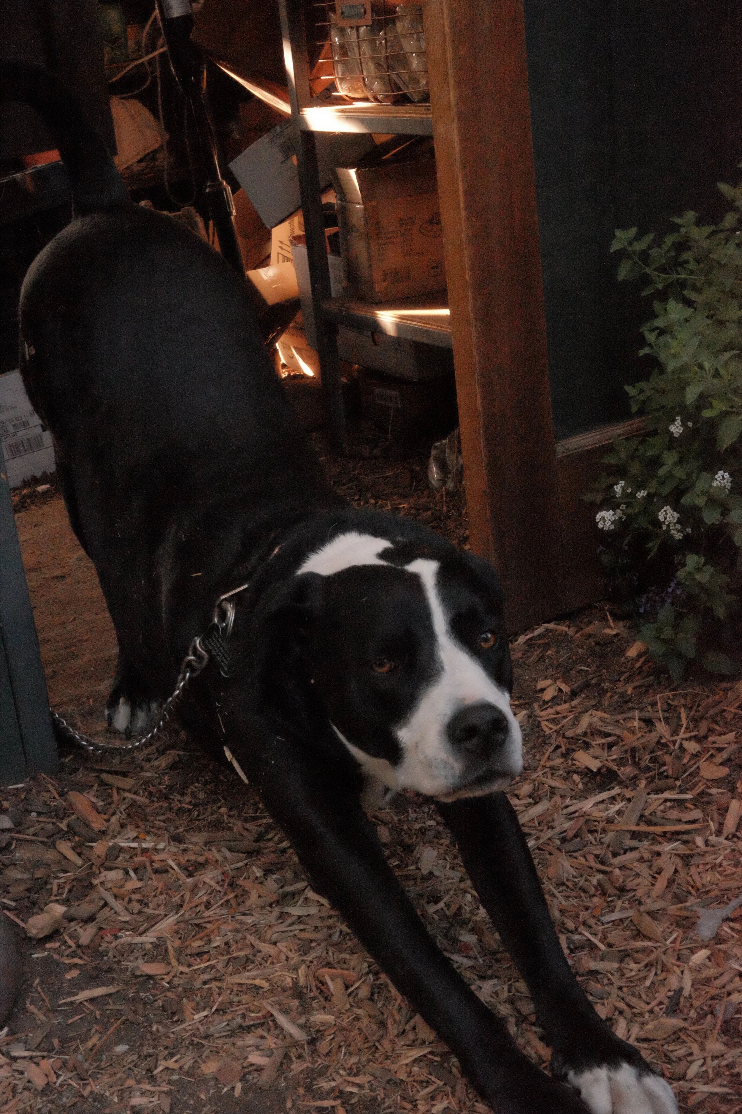 DSCF5847 2.JPG