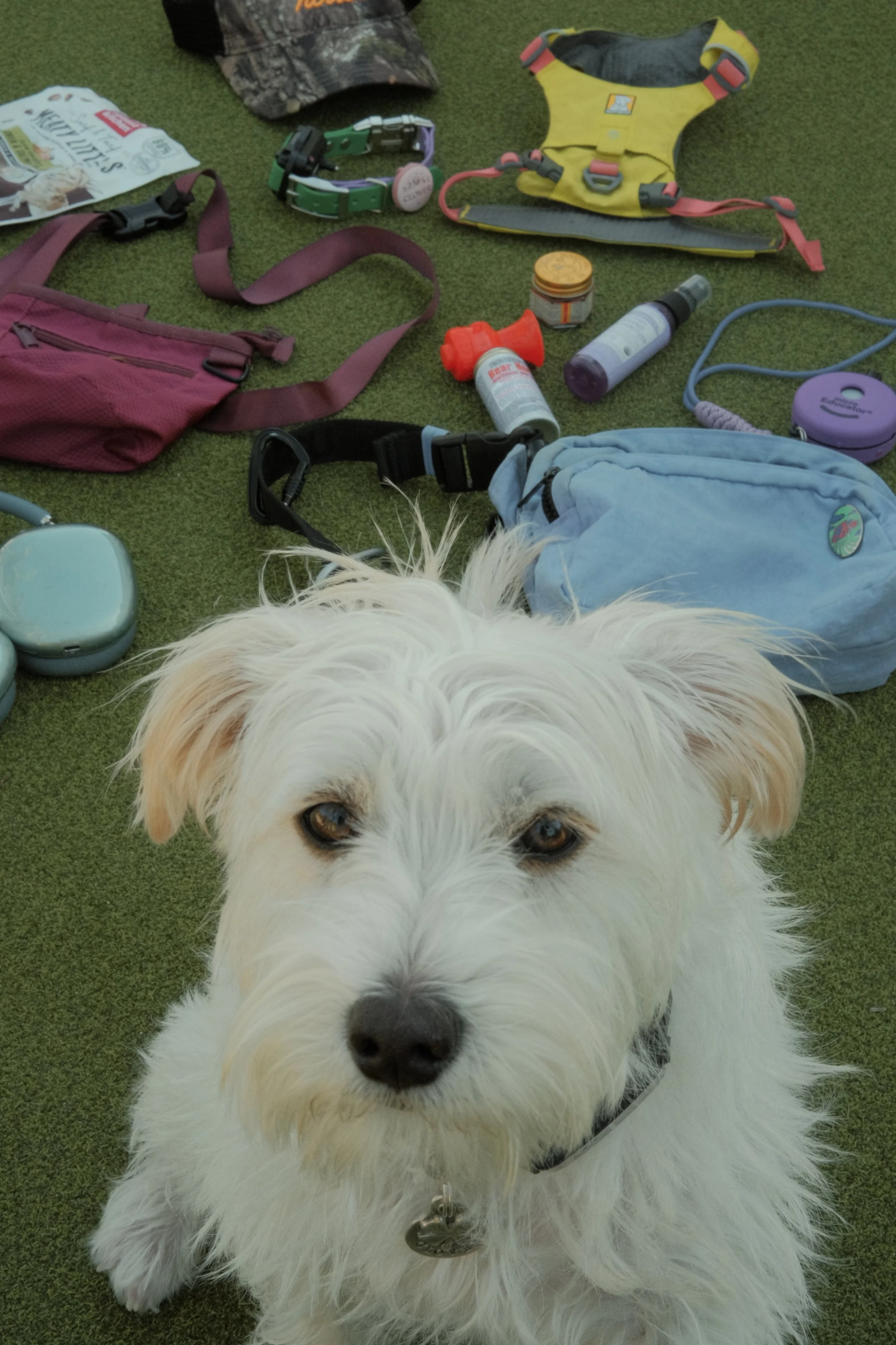 DSCF2853.jpg
