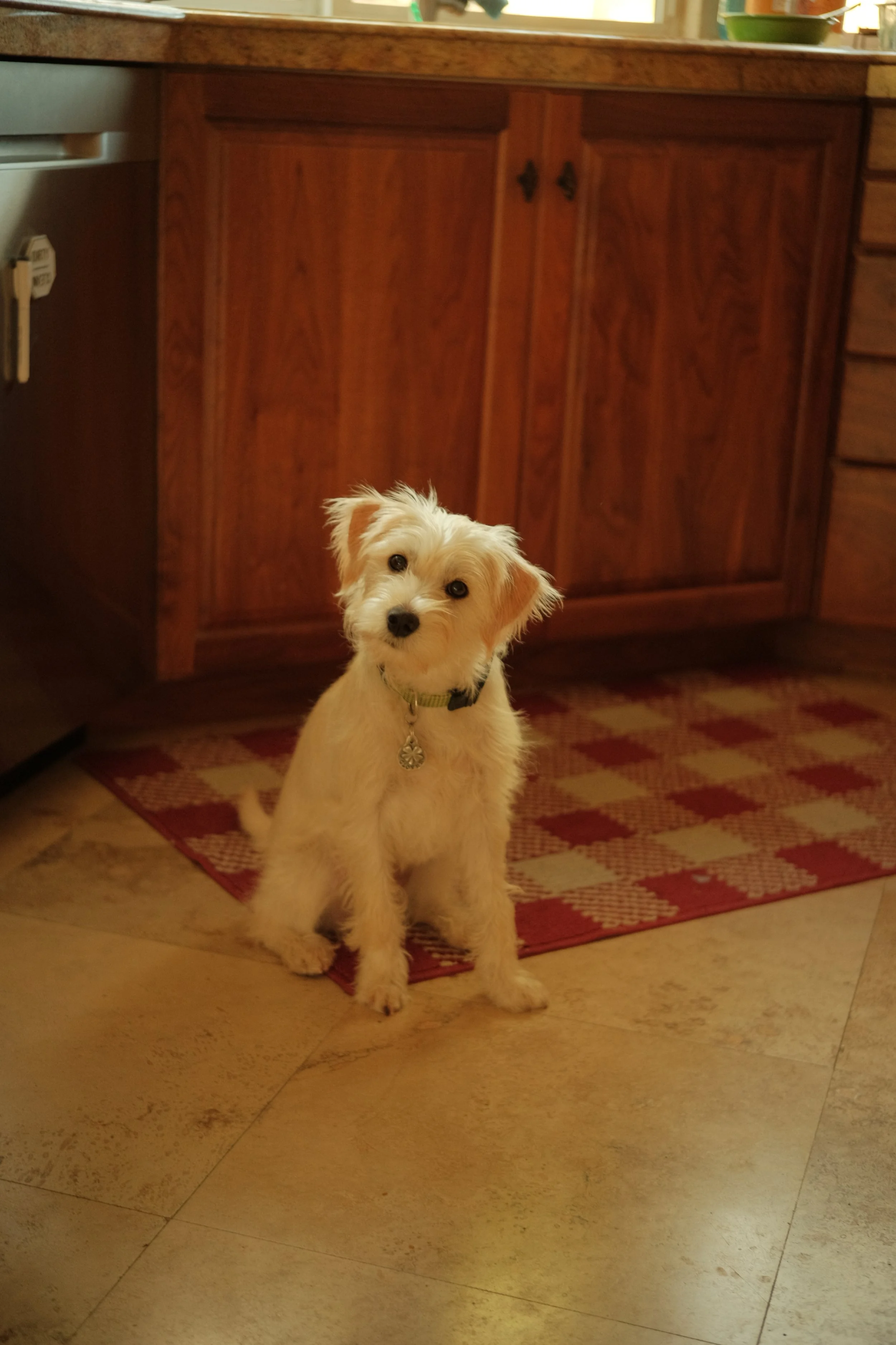 DSCF6963 2.JPG