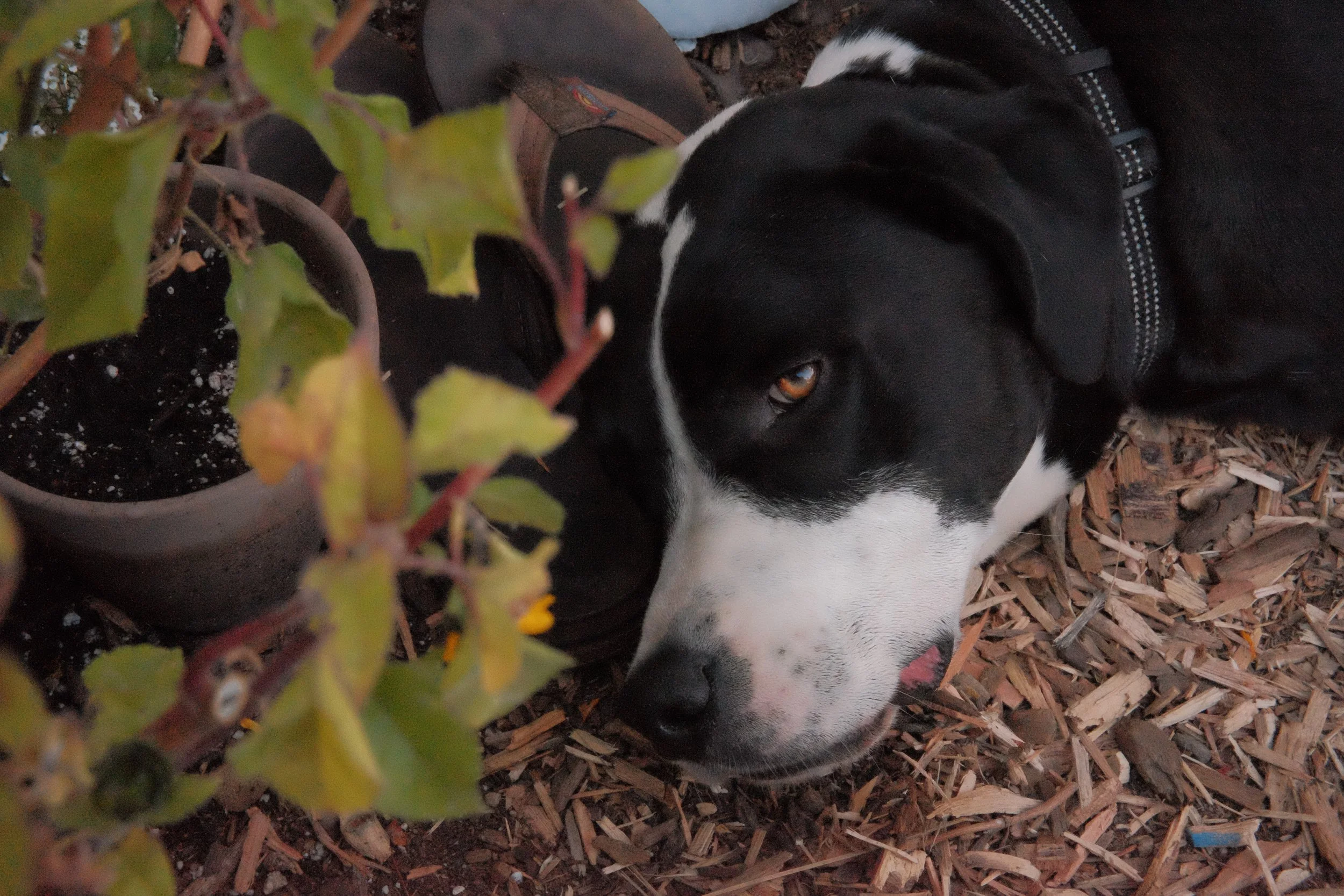 DSCF5845 2.JPG