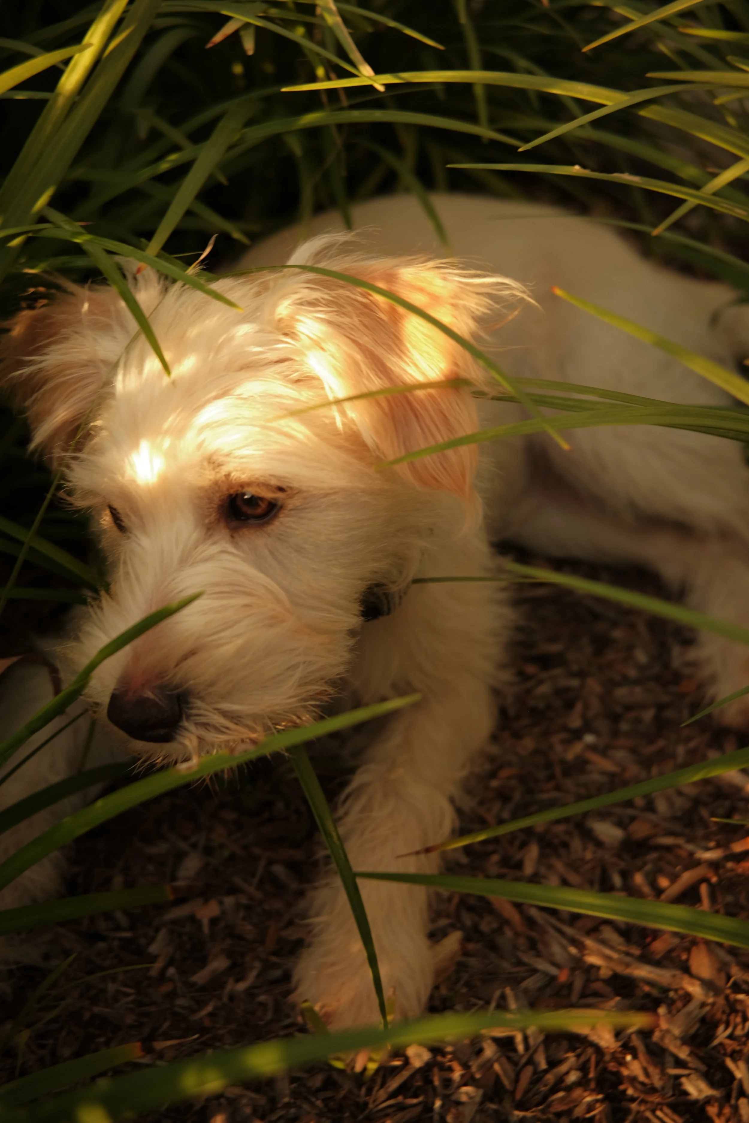 DSCF7334.JPG