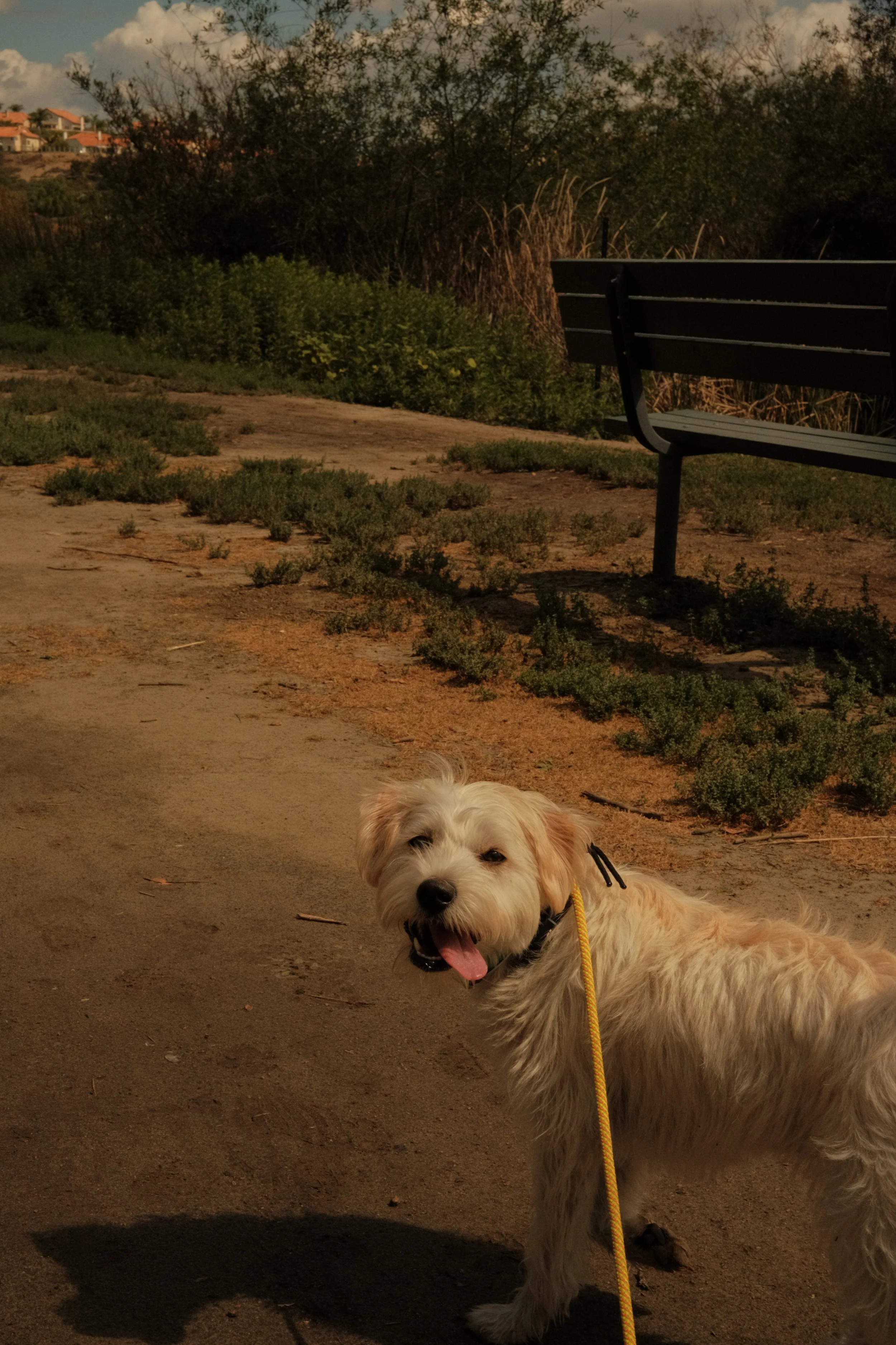 DSCF9073.JPG