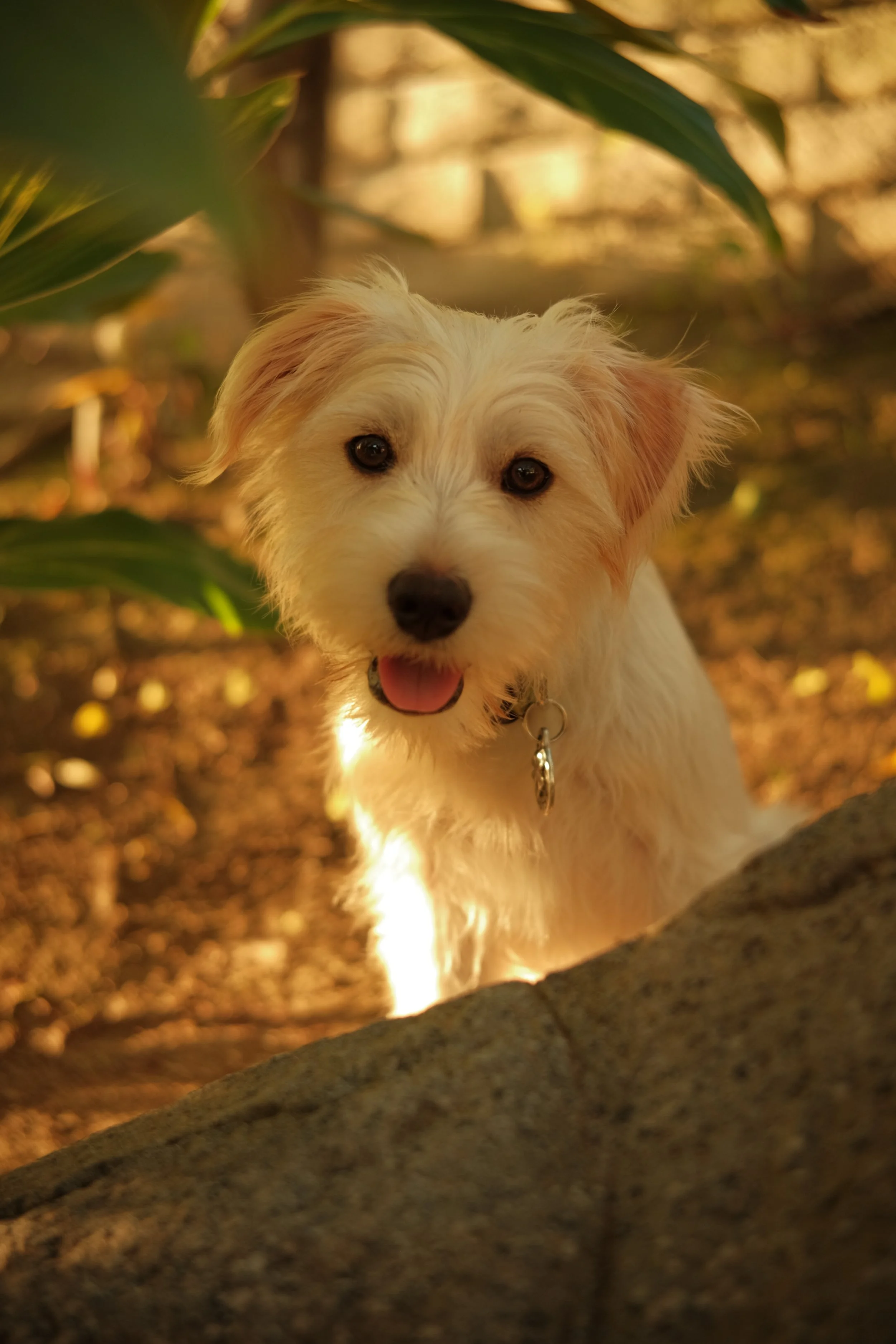 DSCF6784 2.JPG