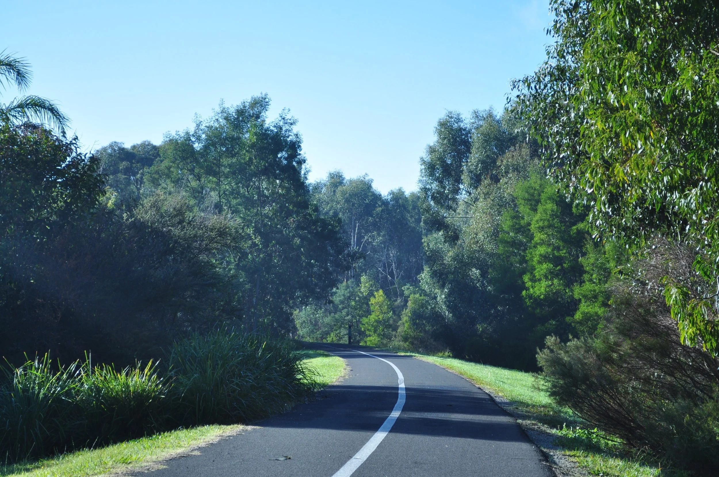 environmental restoration