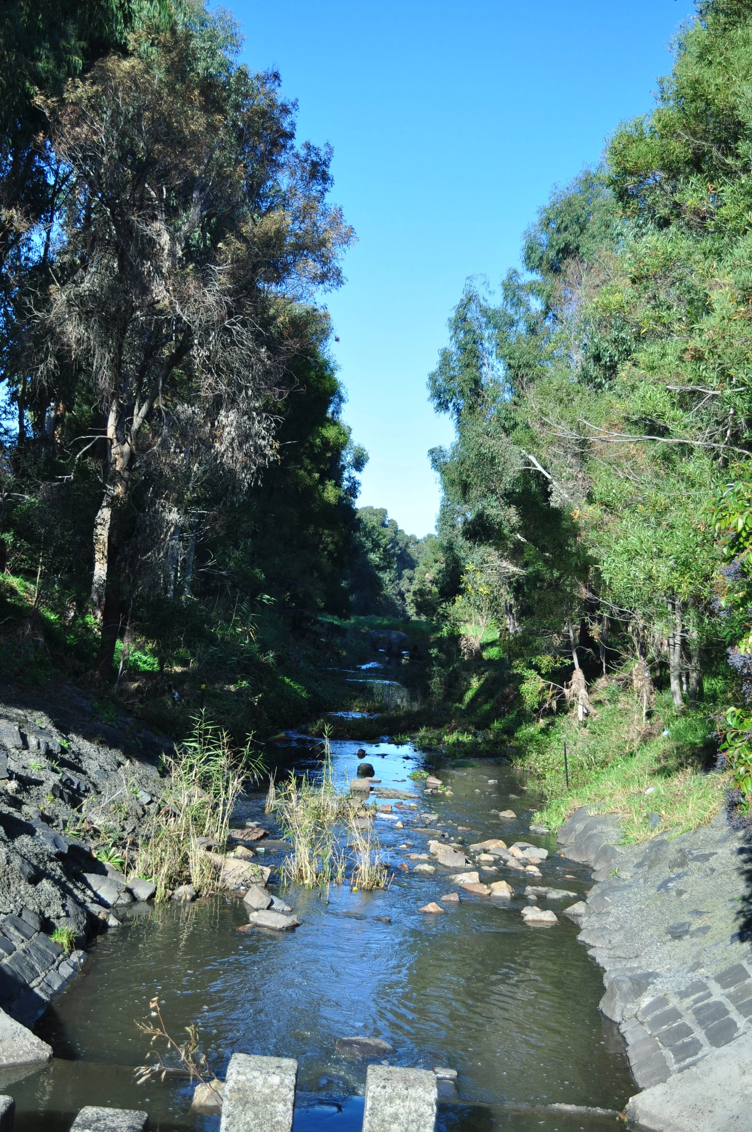 integrated water management