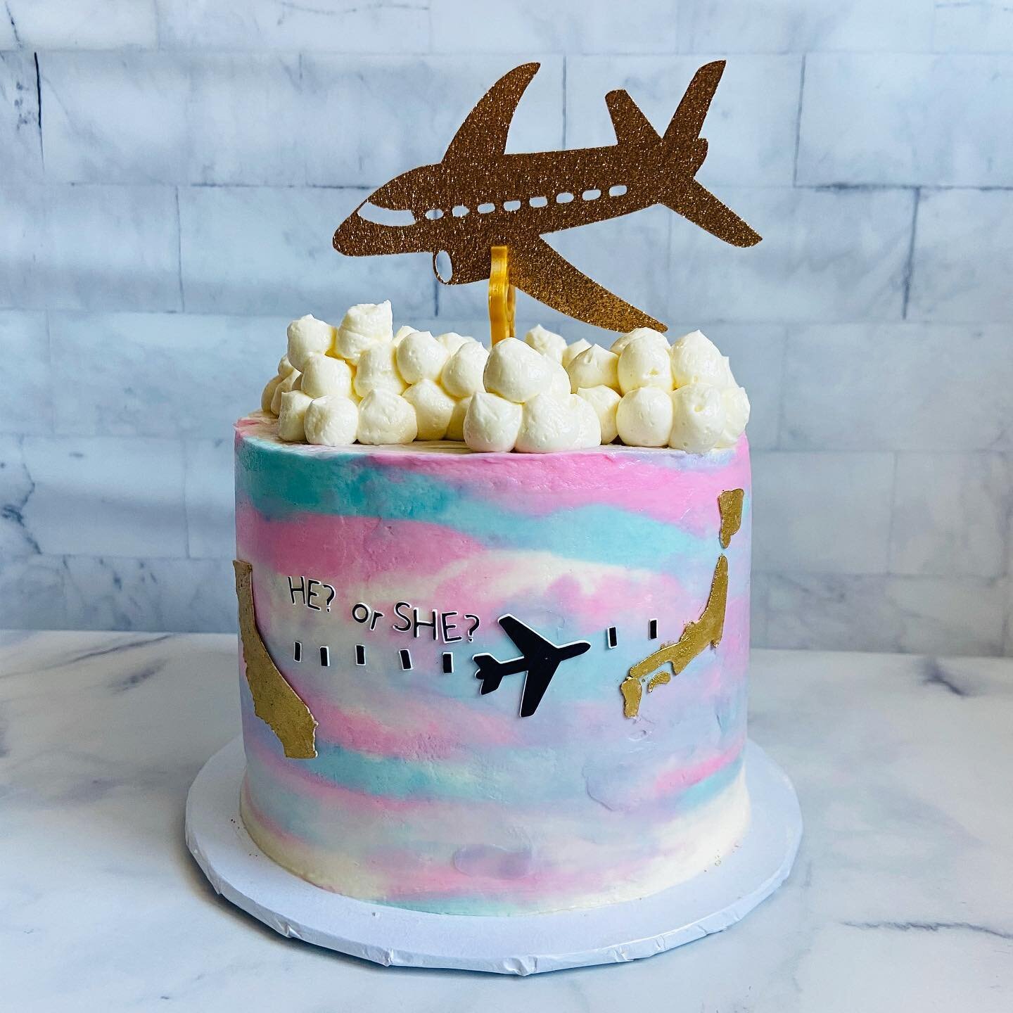 Made a gender reveal cake using some of the items from Spring and Summer @cakeartbox . ✈️🌎