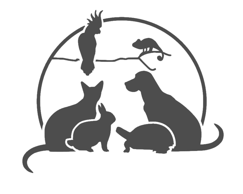 Tierarztpraxis Sonnenallee Berlin Neukölln / Hund, Katze, Kaninchen, Meerschweinchen, Reptilien, Vögel, Zahnbehandlung 