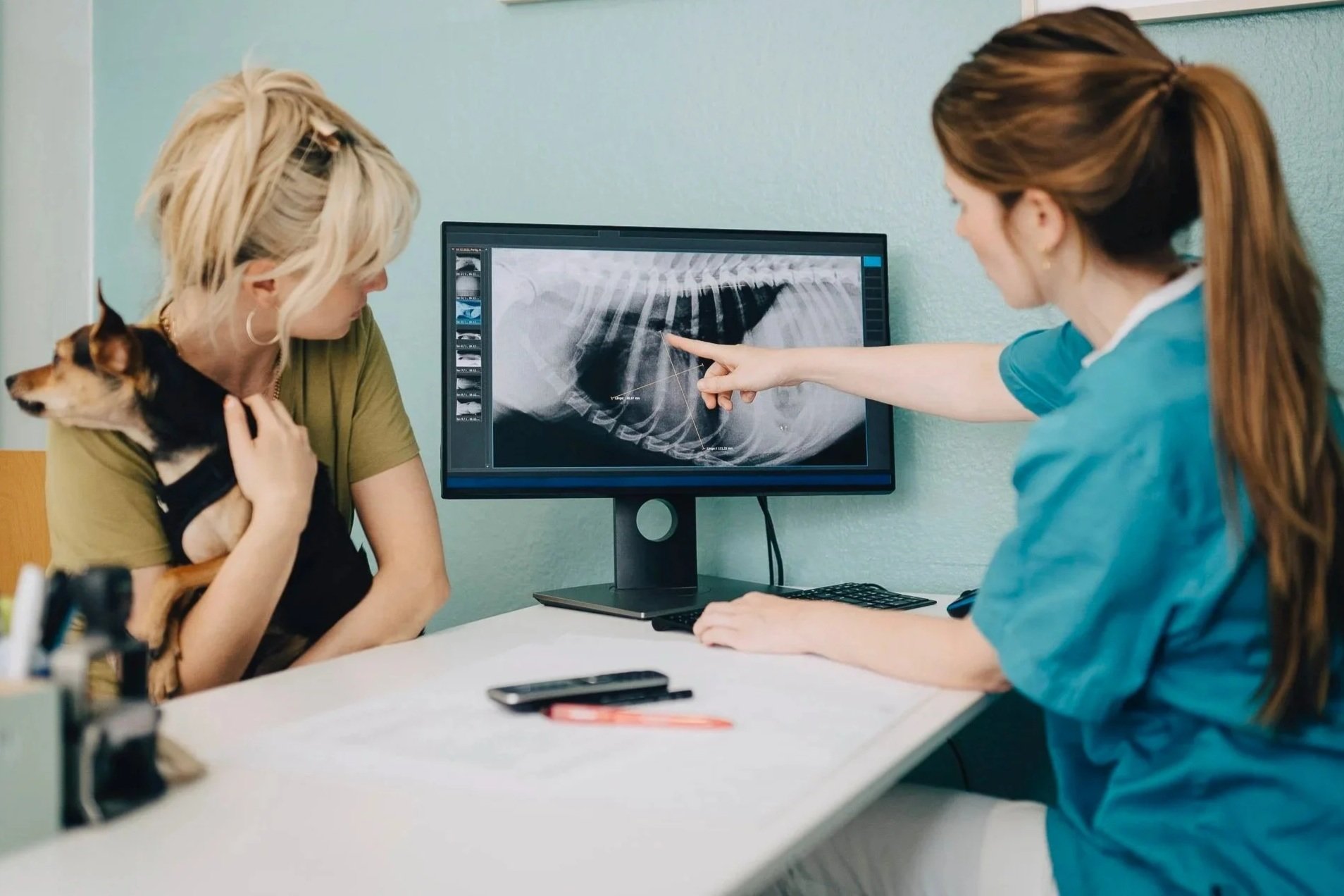 Digitales Röntgen - Tierarztpraxis - Kardiologie
