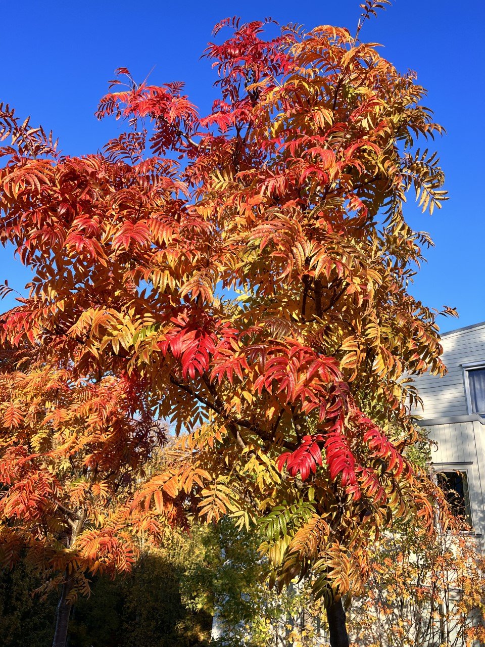 11.10.22-2.jpg