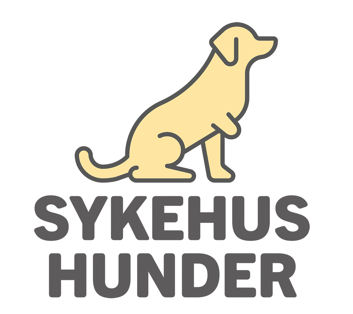 Sykehushunder