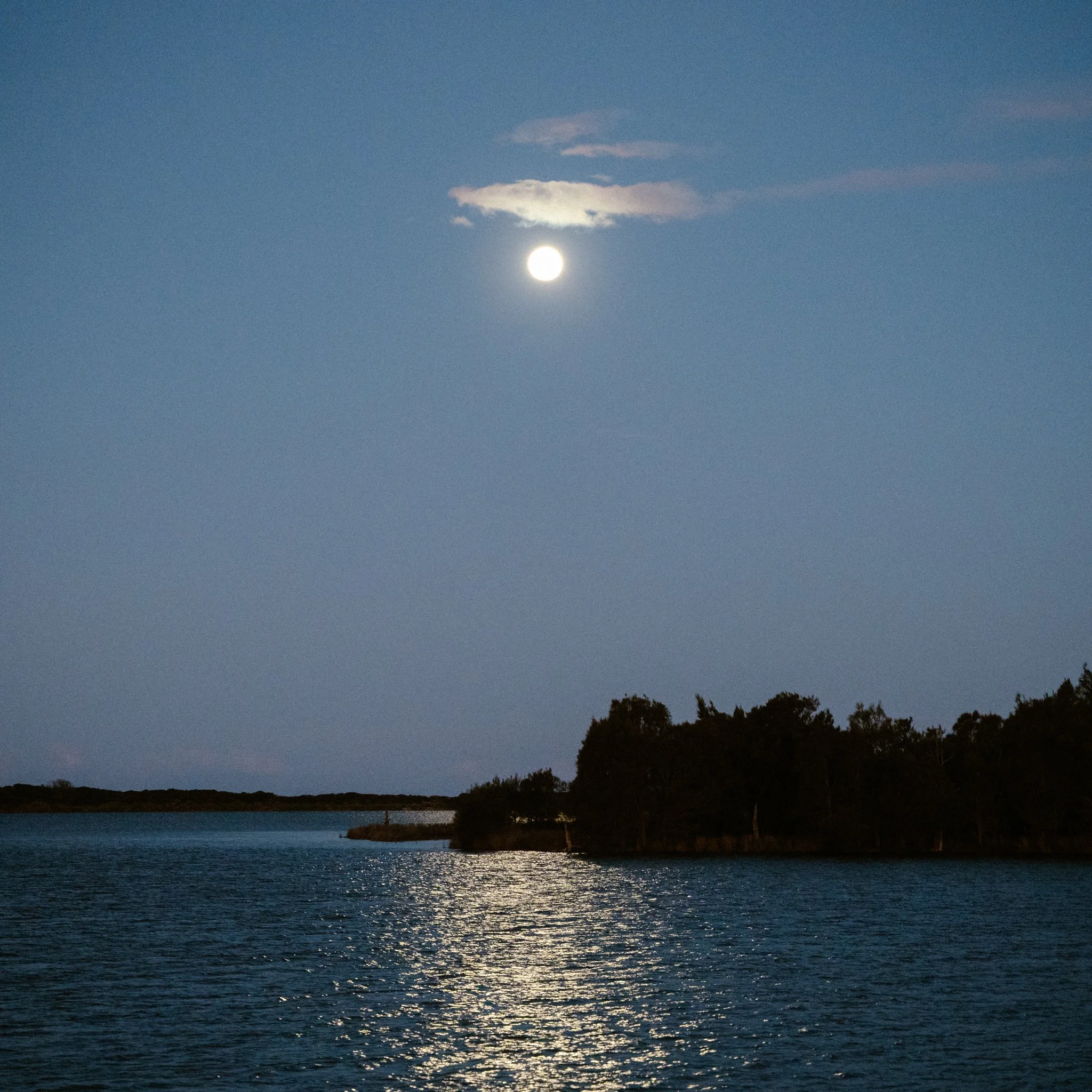 2026.08_EastCoast_Lowres_@maxroux-35.jpg