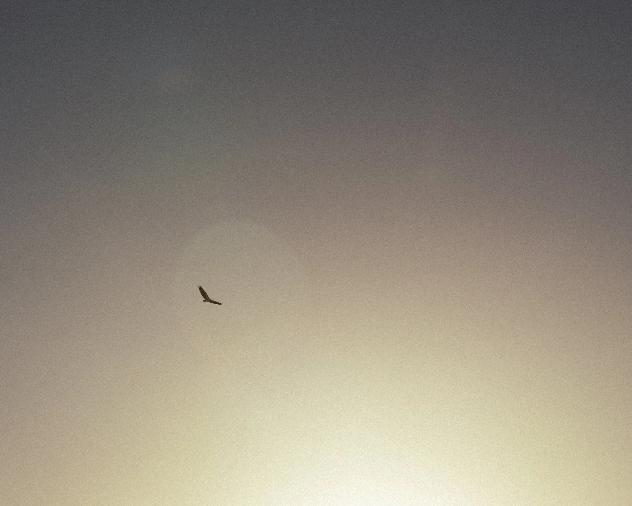 2026.08_EastCoast_Lowres_@maxroux-71.jpg