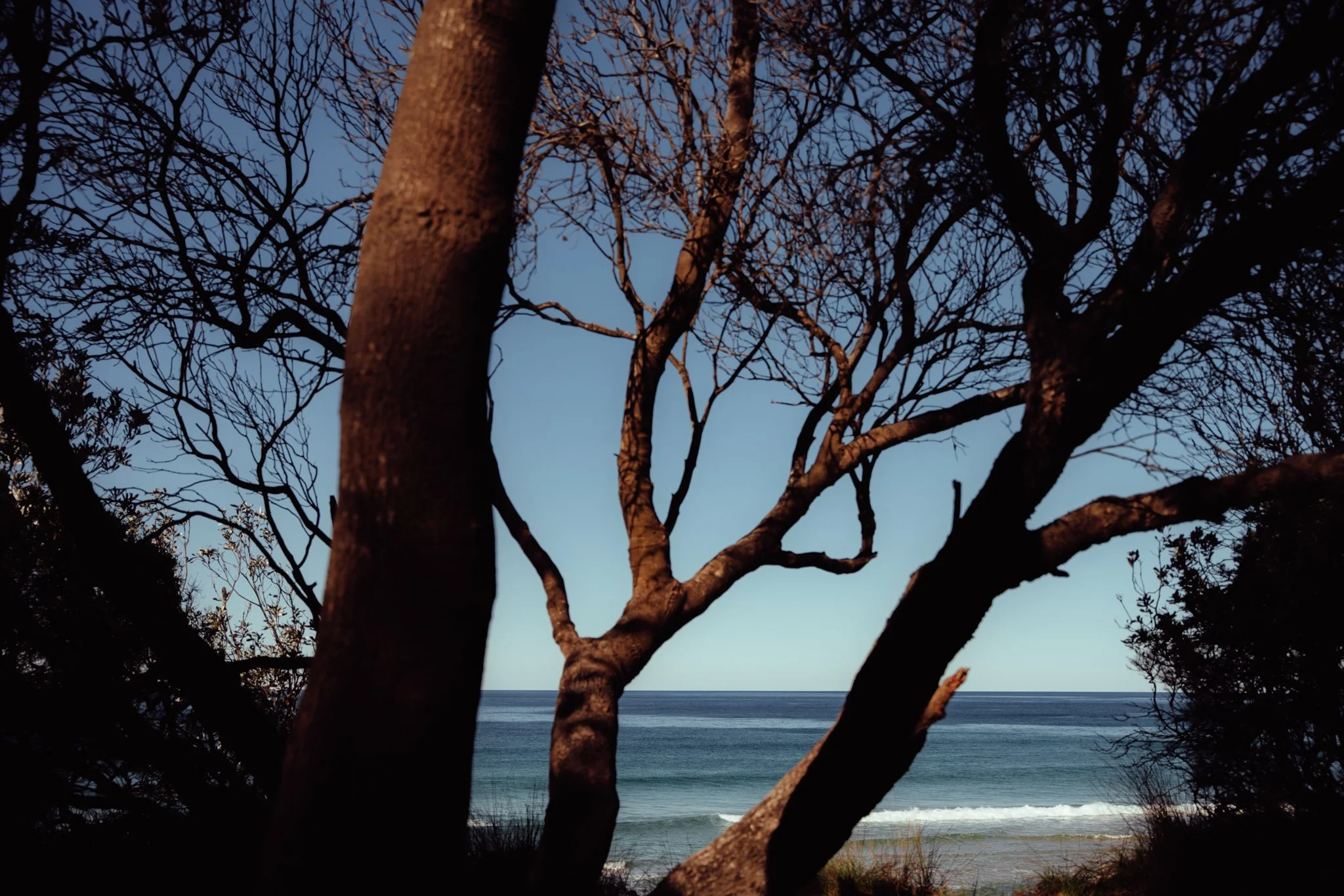 2026.08_EastCoast_Lowres_@maxroux-17.jpg