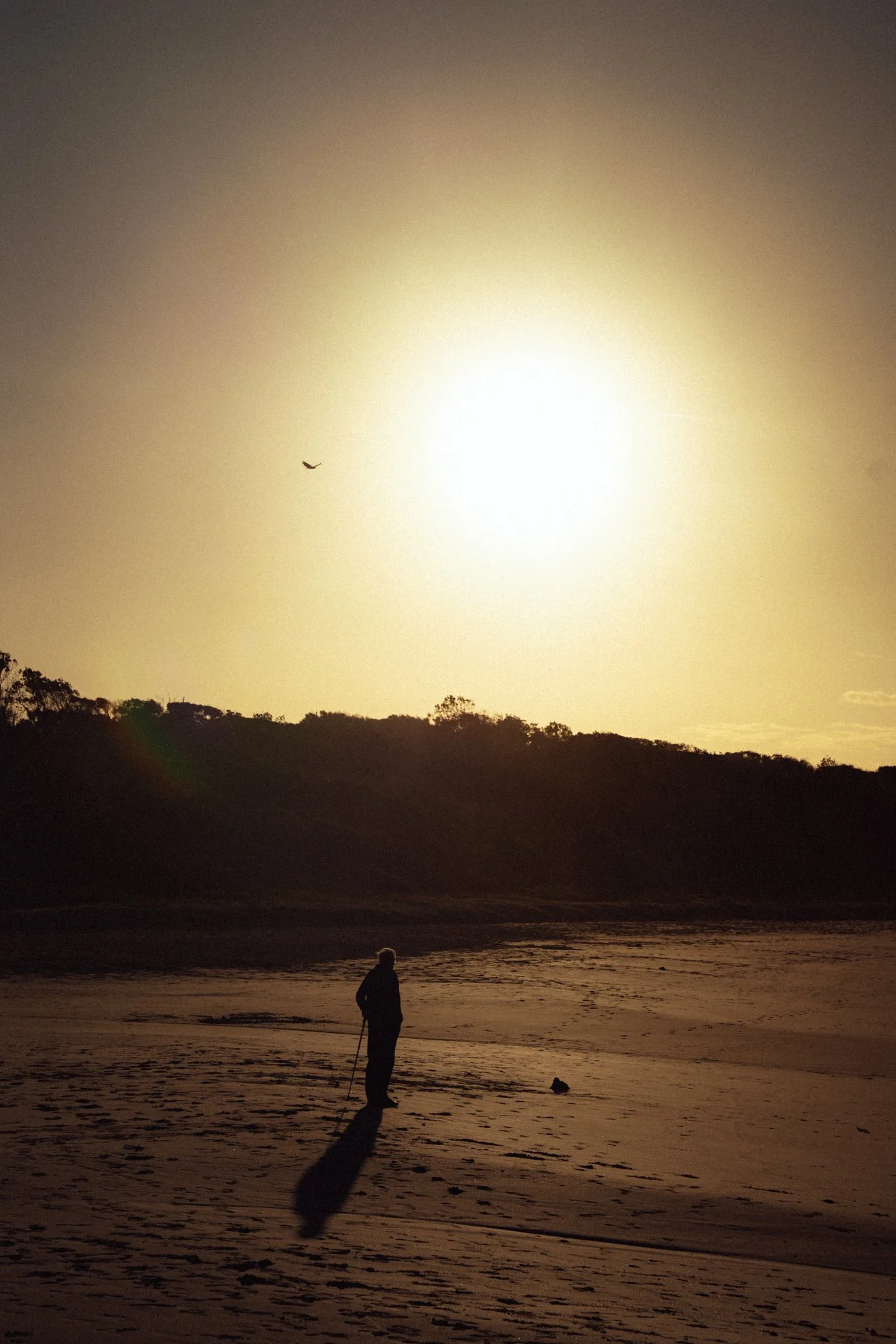 2026.08_EastCoast_Lowres_@maxroux-72.jpg