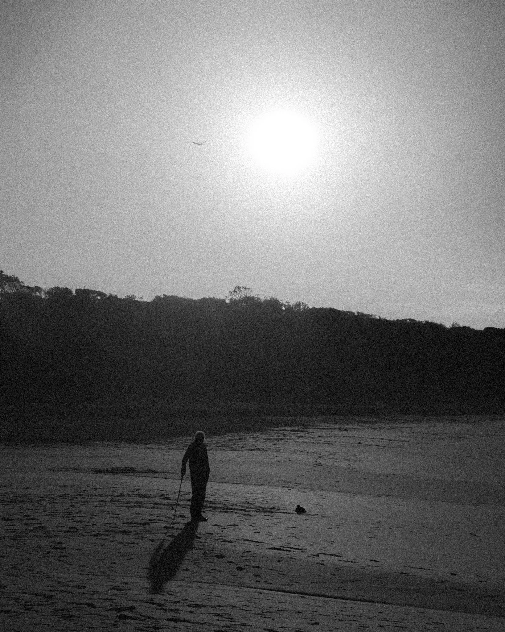 2026.08_EastCoast_Lowres_@maxroux-73.jpg