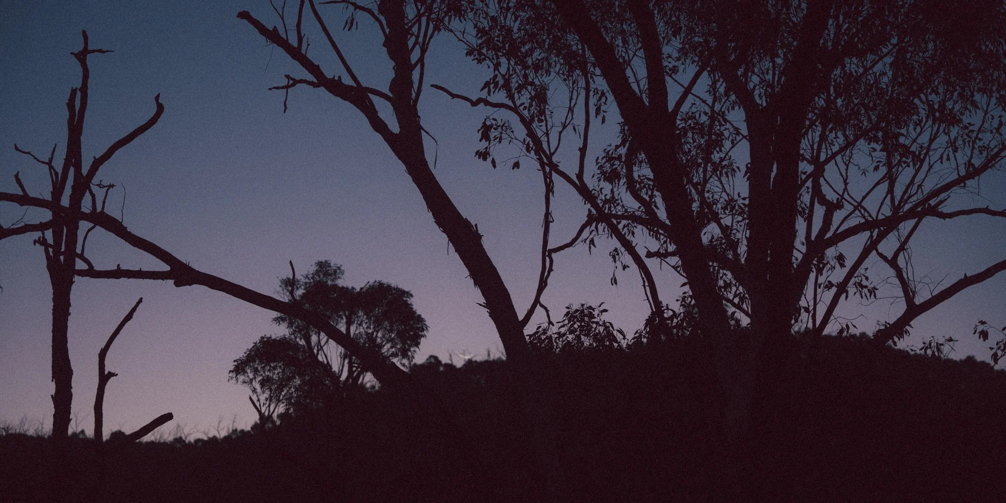 2026.08_EastCoast_Lowres_@maxroux-210.jpg
